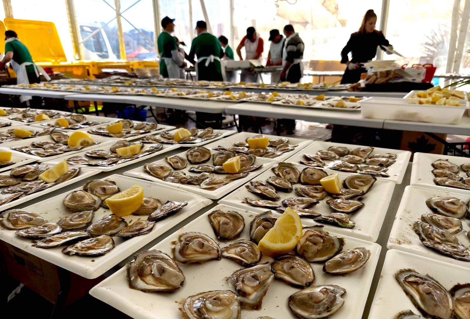 Ostras preparadas para a súa degustación
