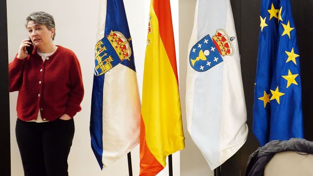 Pleno da corporación municipal de Pontevedra