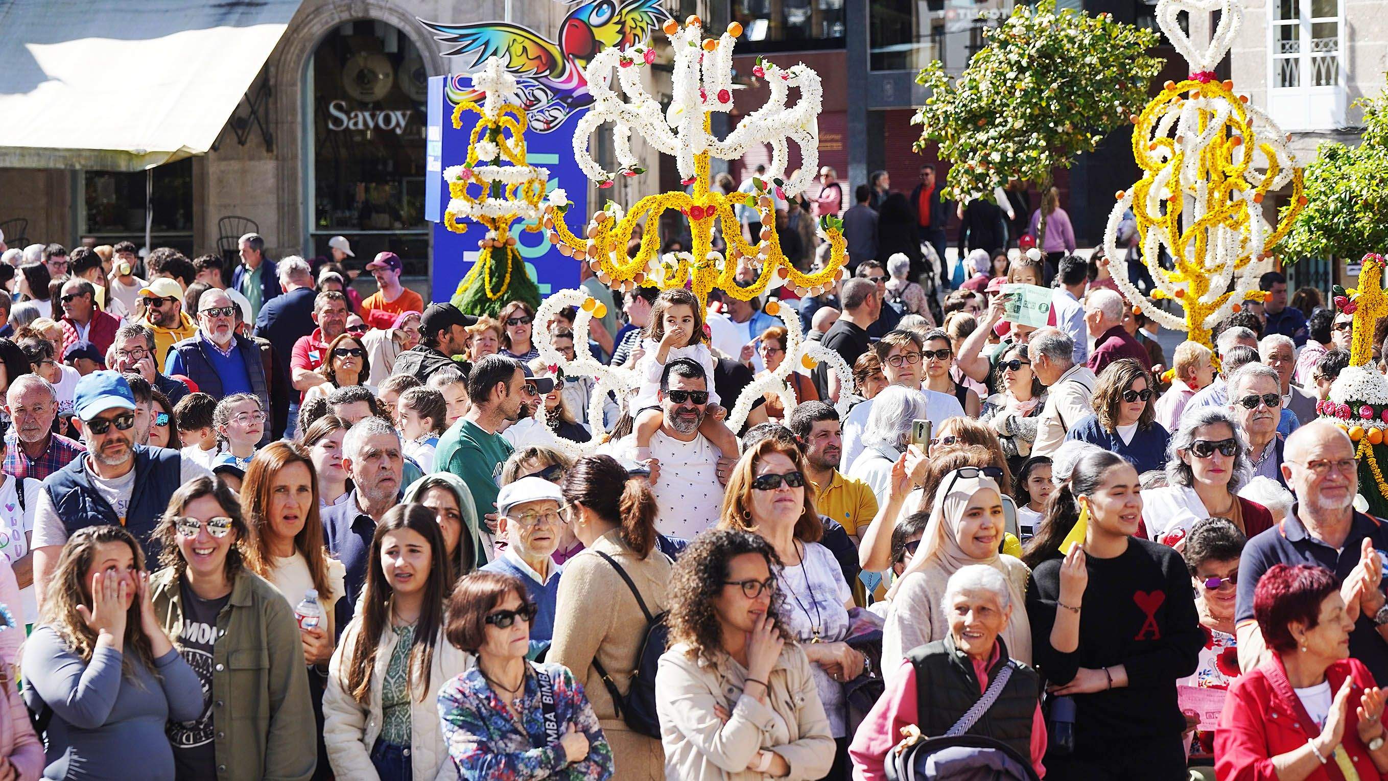 Festa dos Maios en Pontevedra 2025 Festa dos Maios en Pontevedra 2025
