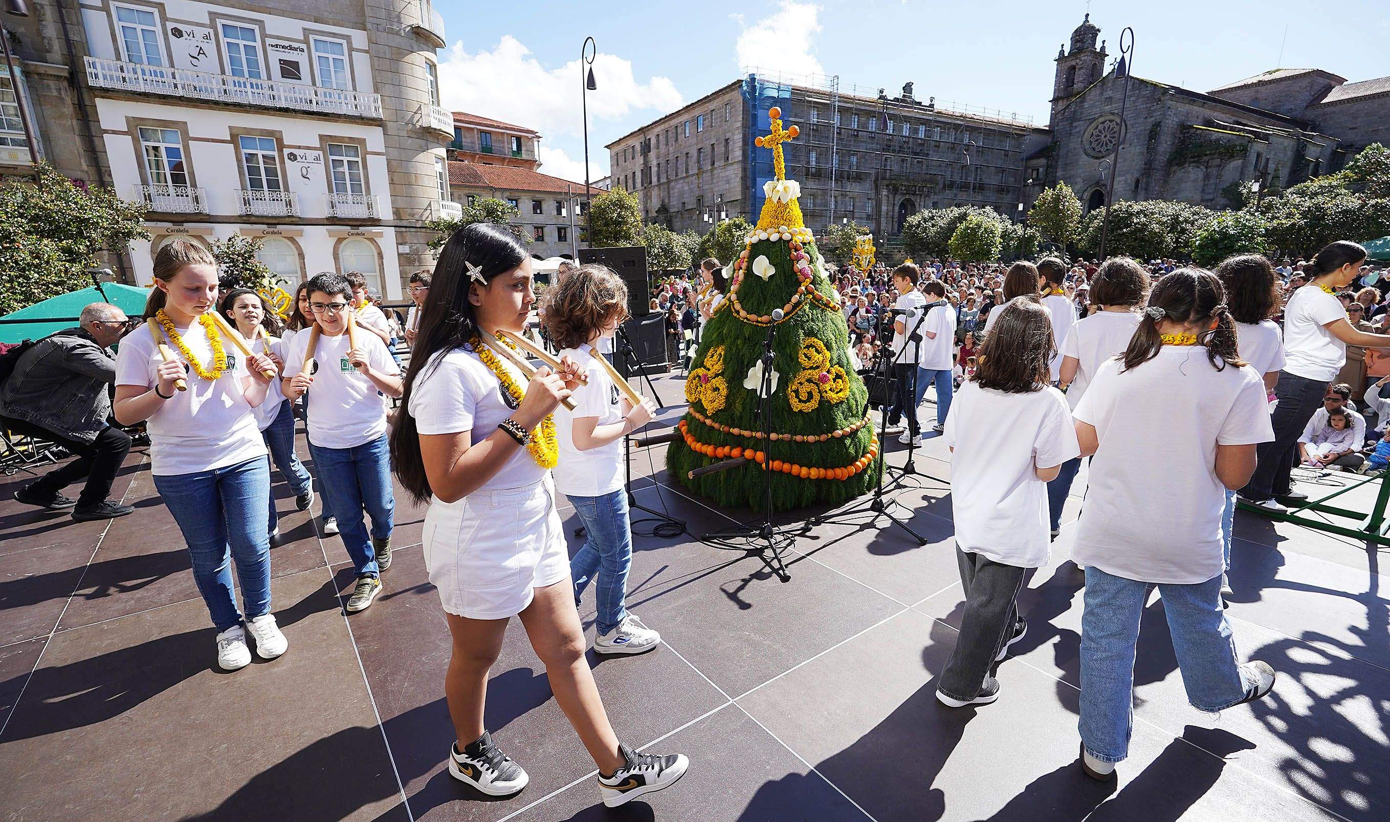 Festa dos Maios en Pontevedra 2025 Festa dos Maios en Pontevedra 2025