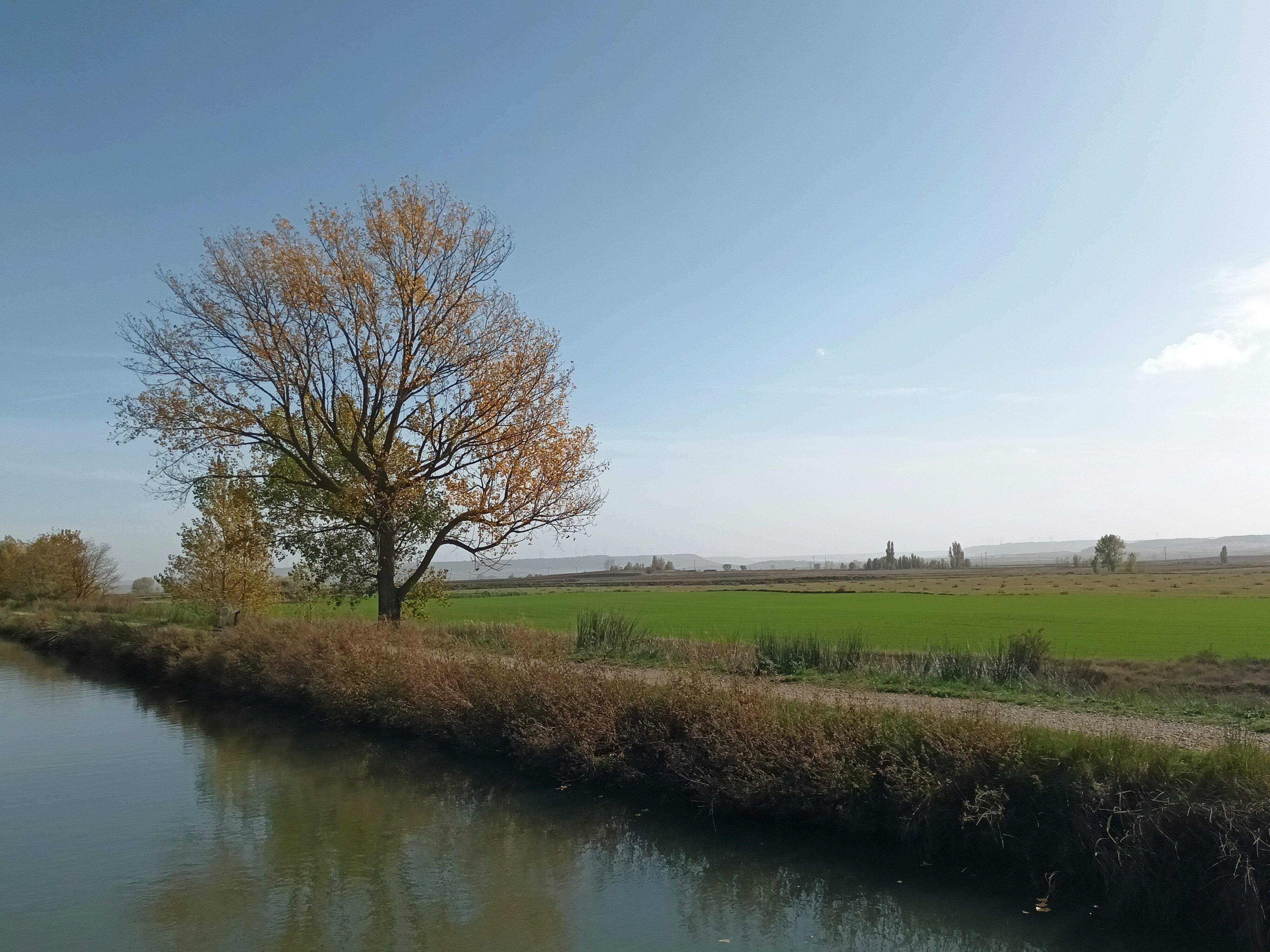 Canal de Castilla, camino de sirga e chaira
