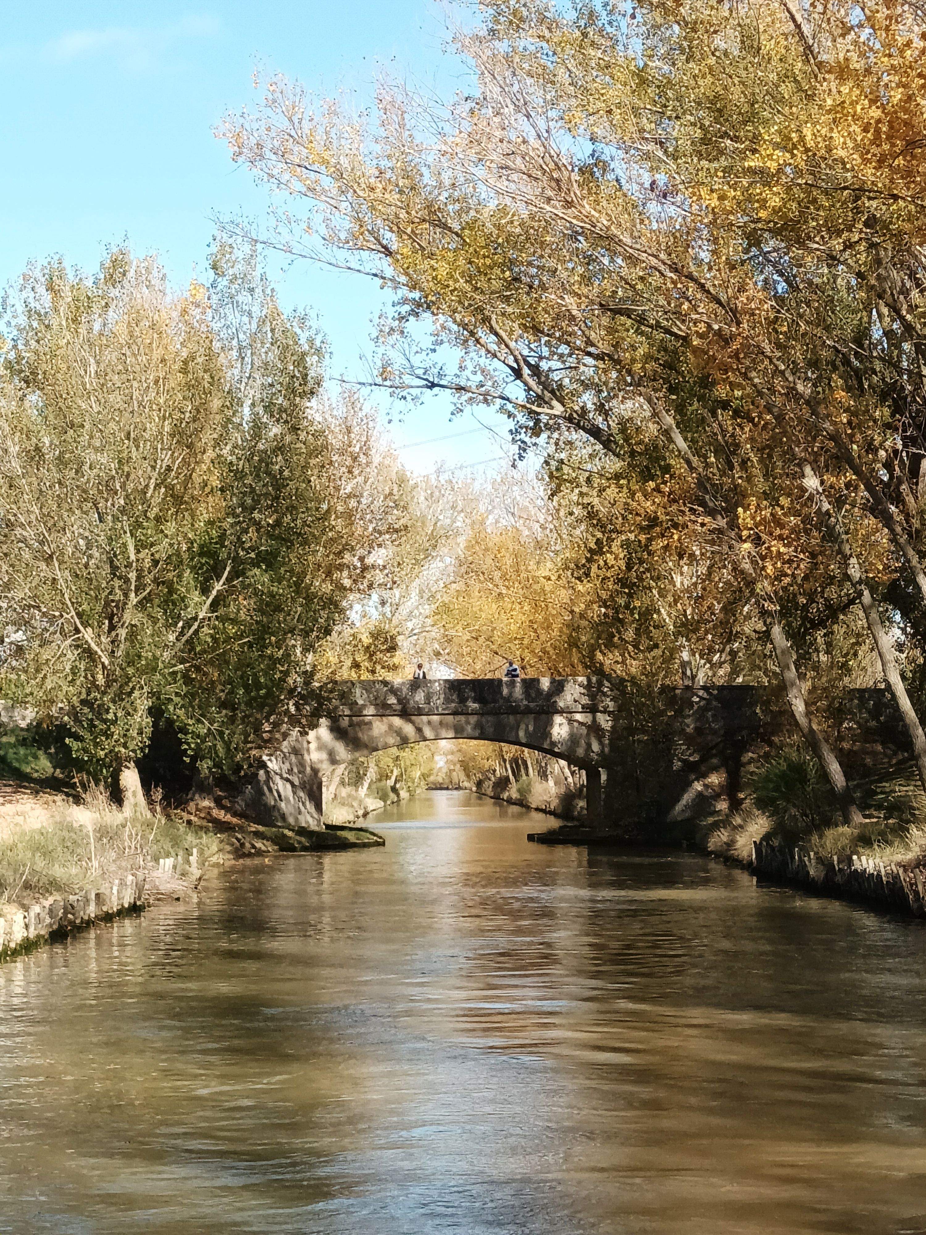 Canal de Castilla, ponte