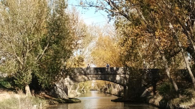 Canal de Castilla, ponte