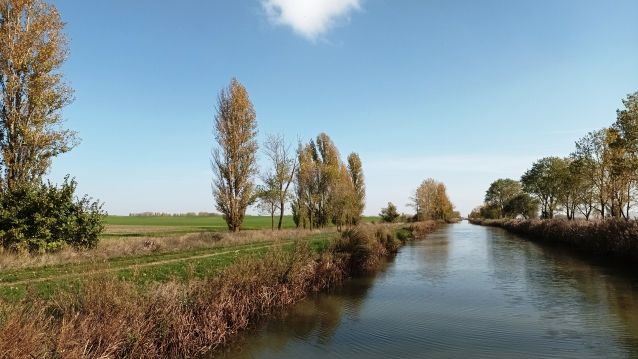 Canal de Castilla