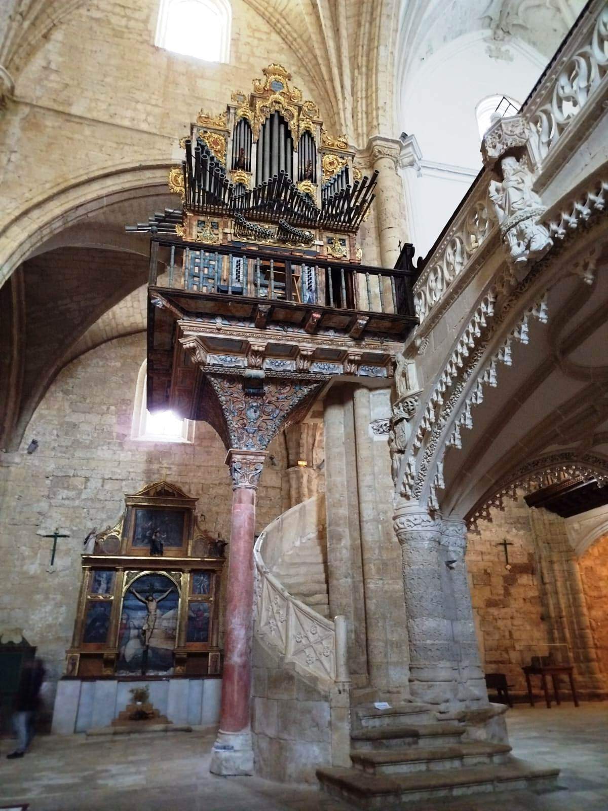 Támara de campos, órgano da catedral de San Hipólito