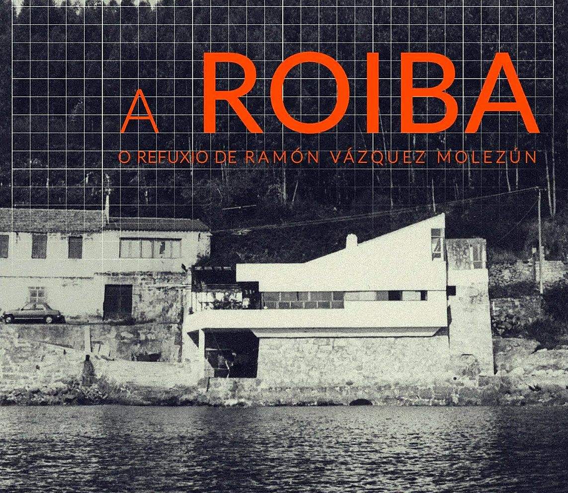 Cartel de A Roiba