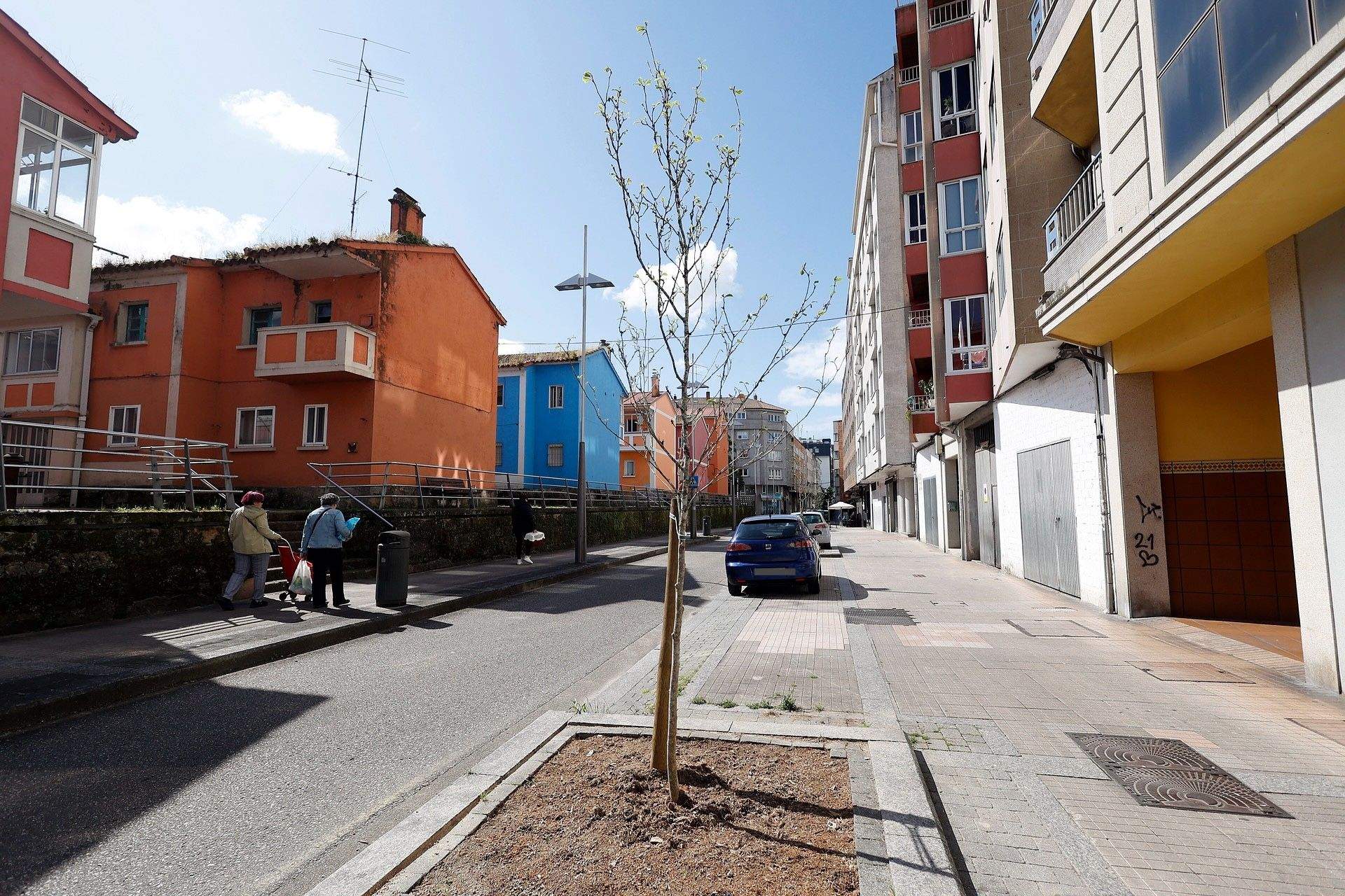 Plantación de arbolado en Rodriguez Seoane