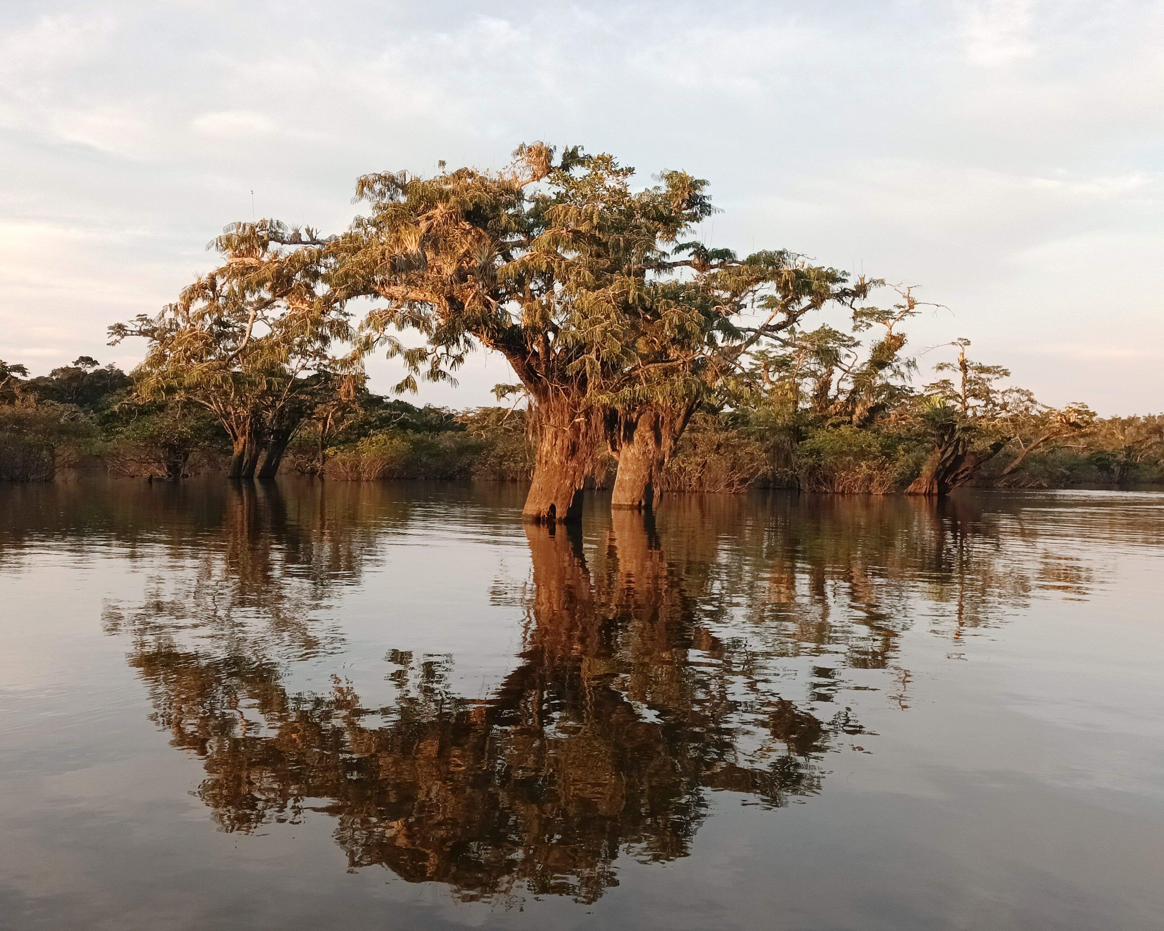 Laguna Grande 