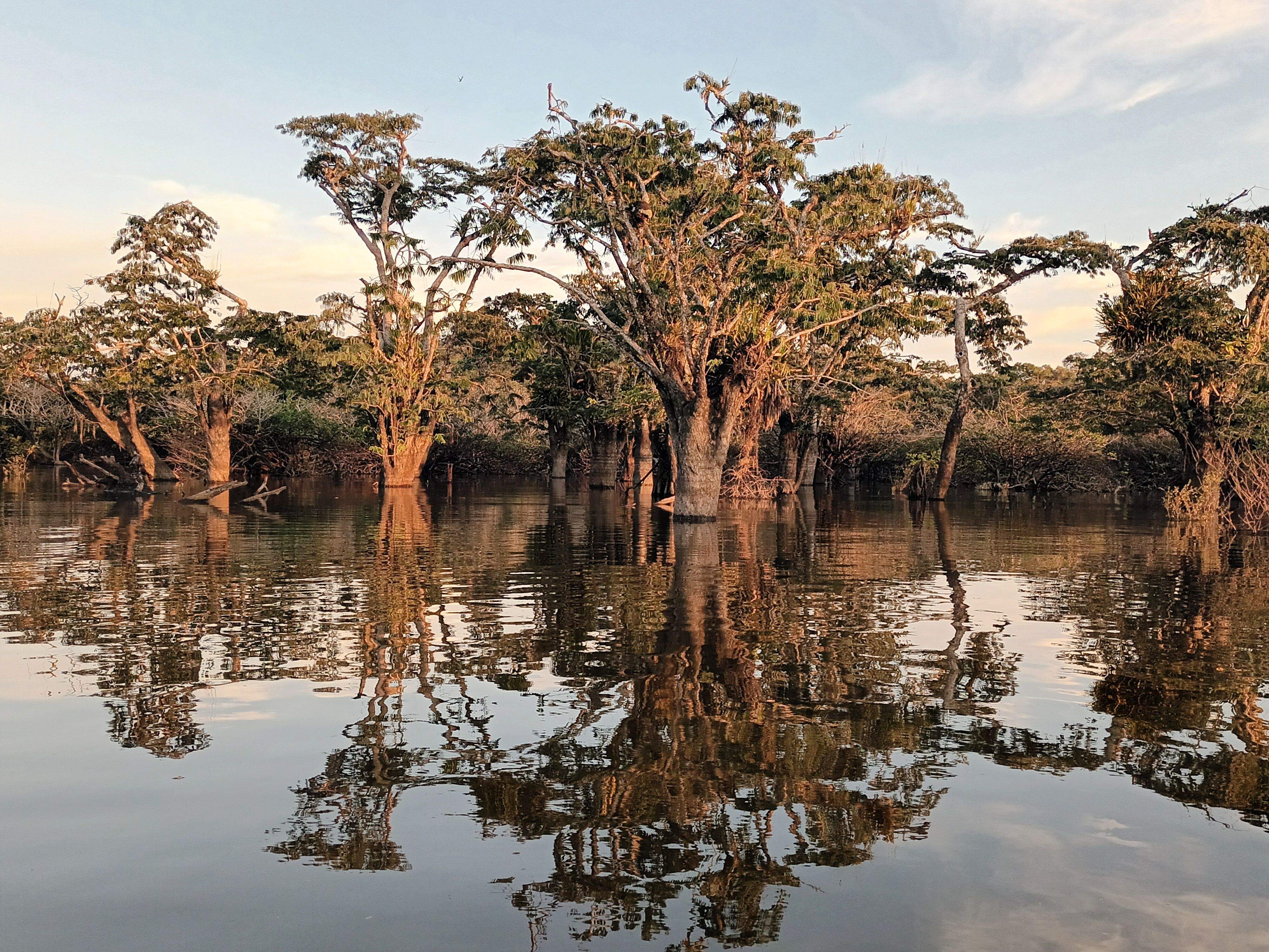 Laguna Grande 
