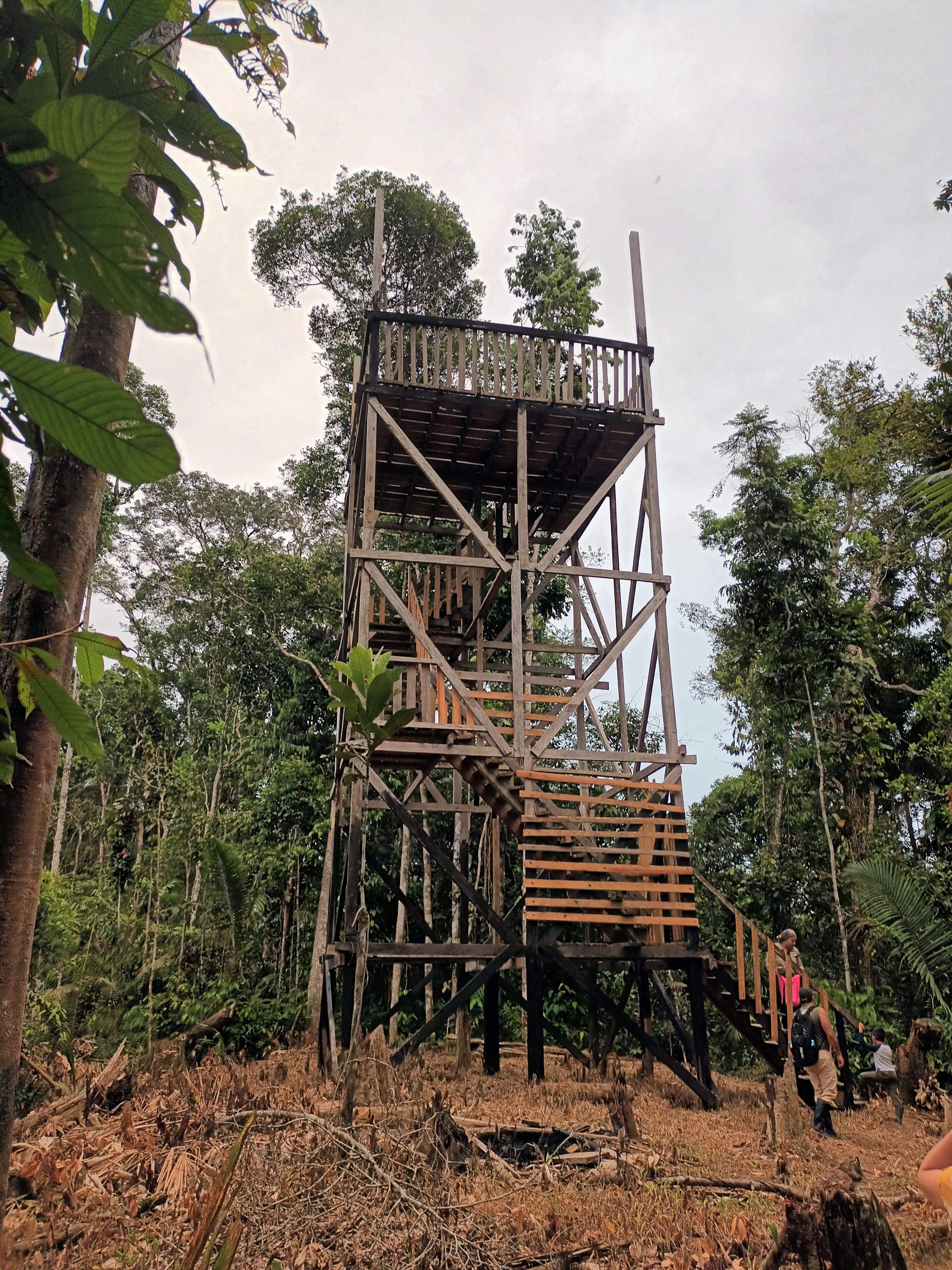 Miradoiro para observar a selva