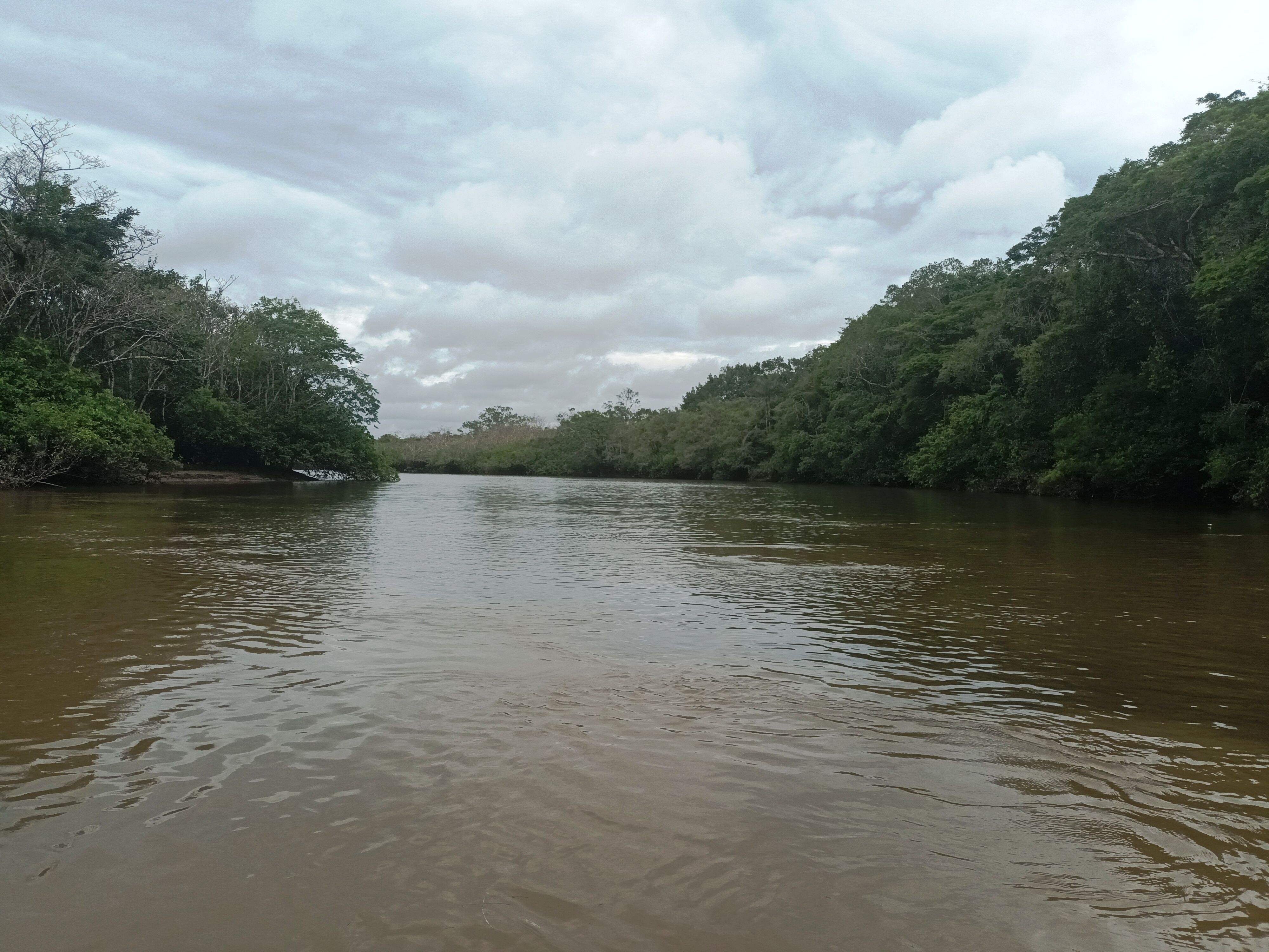 Río Cuyabeno