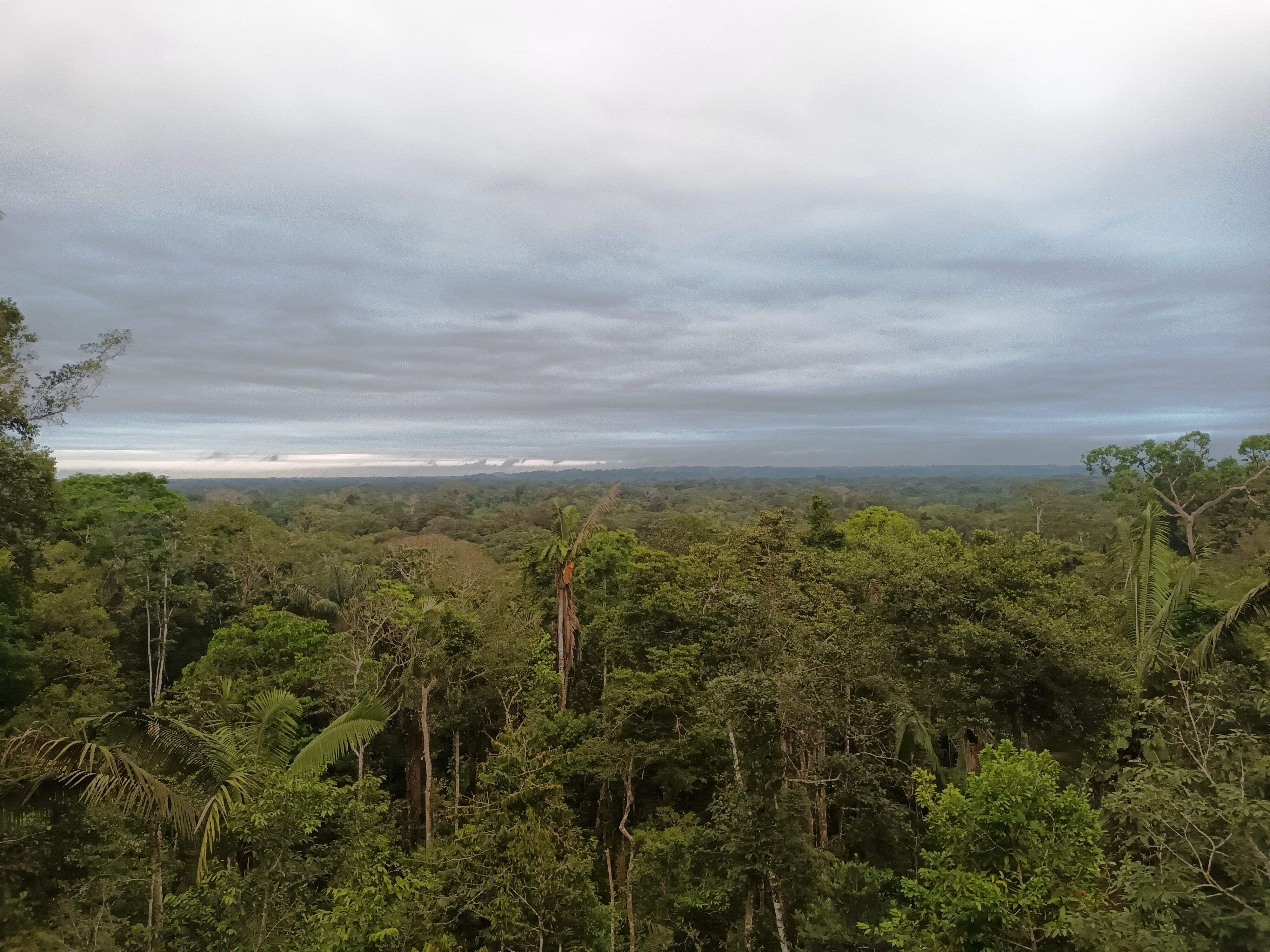 Vistas dende o miradoiro