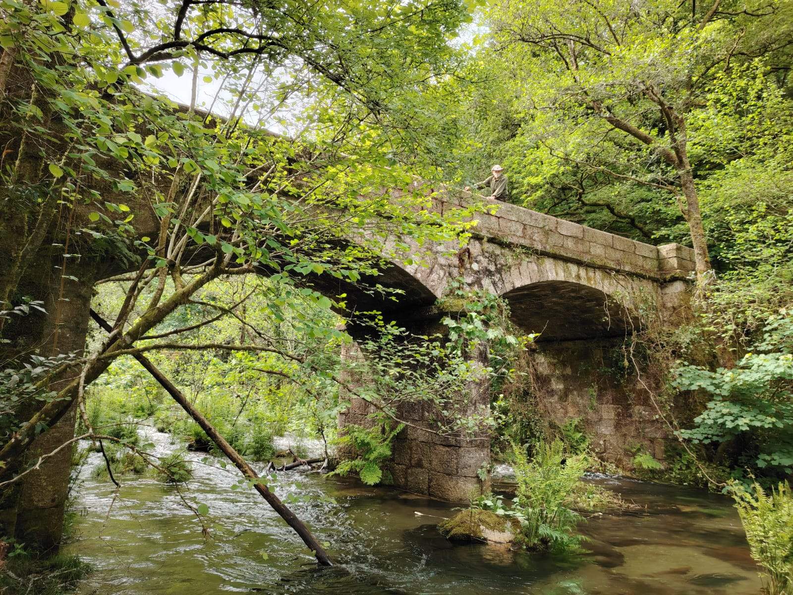 A ponte de Arén liberada da matogueira. A ponte de Arén liberada da matogueira.