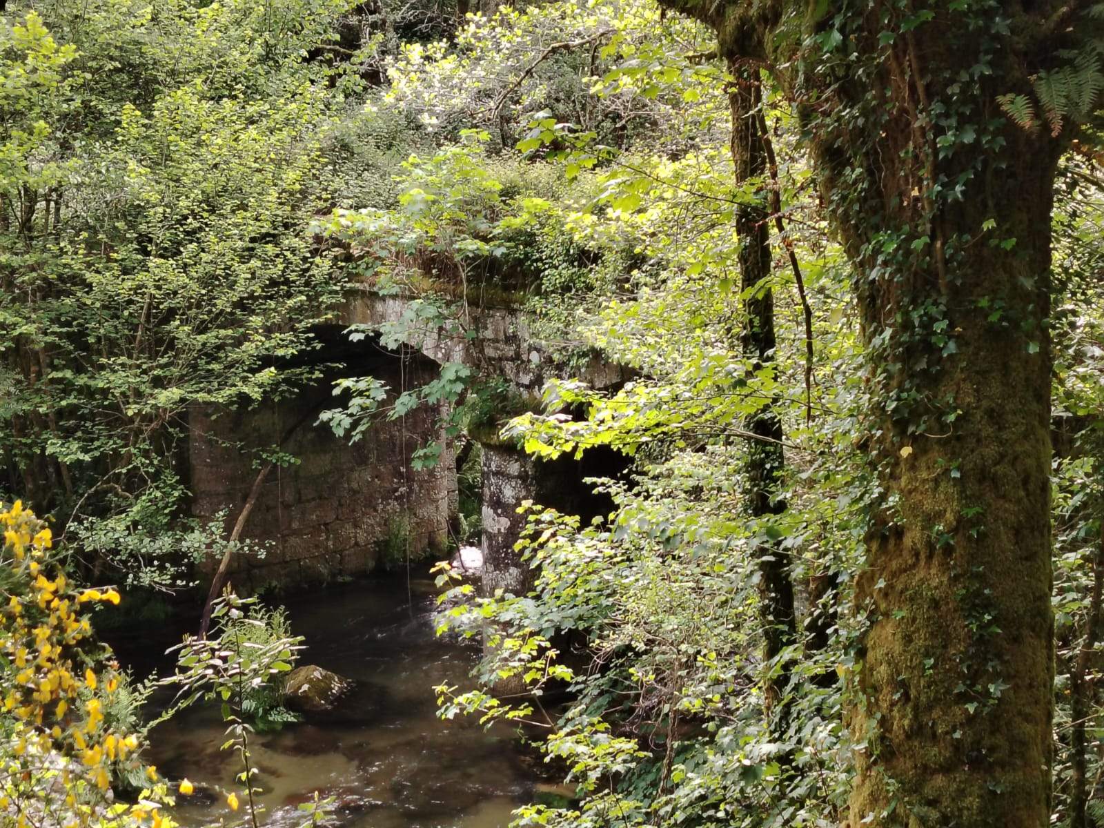 Limpeza reivindicativa da ponte de Arén Limpeza reivindicativa da ponte de Arén