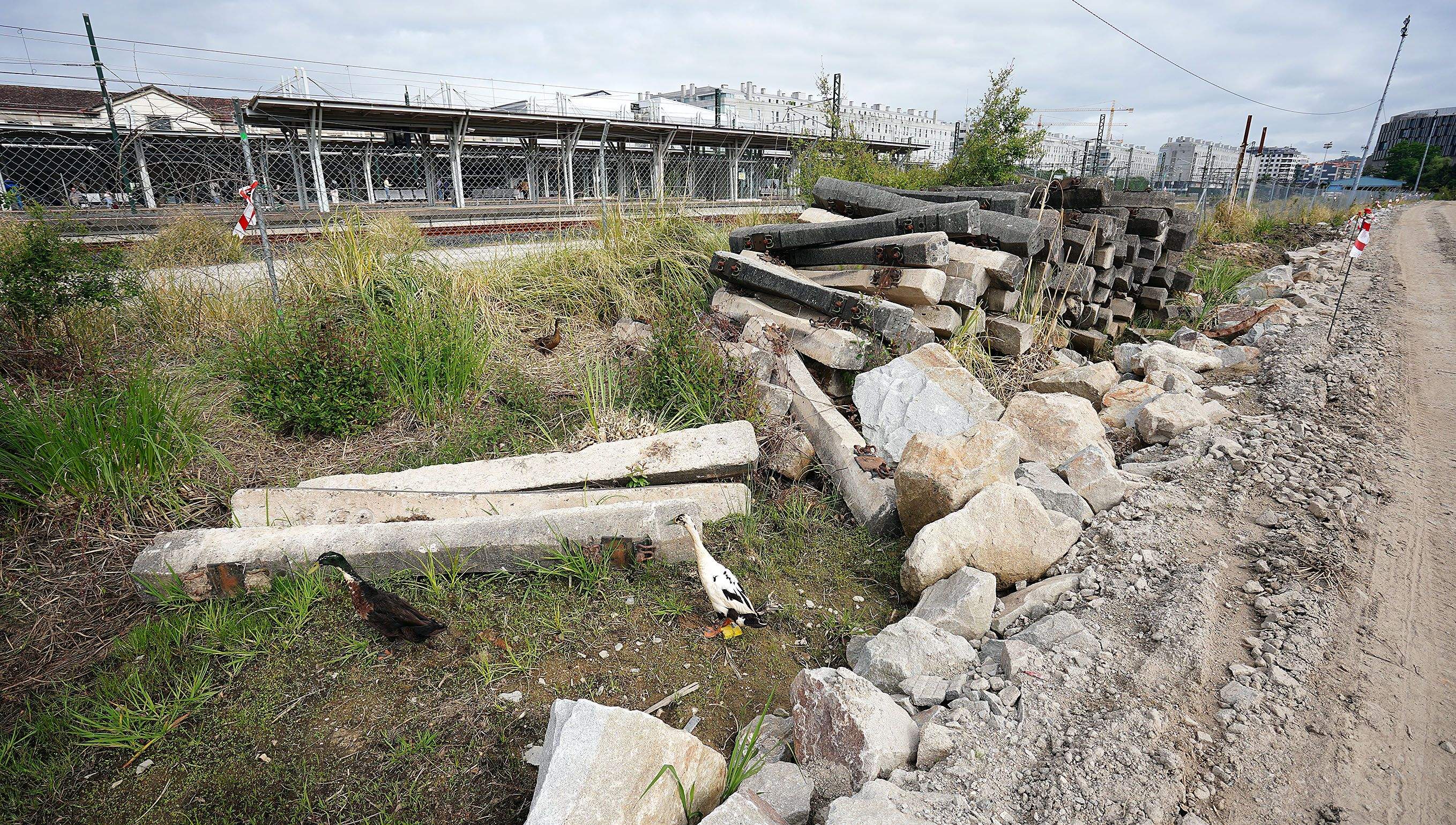 Obras para la creación del Parque da Parda Obras para la creación del Parque da Parda
