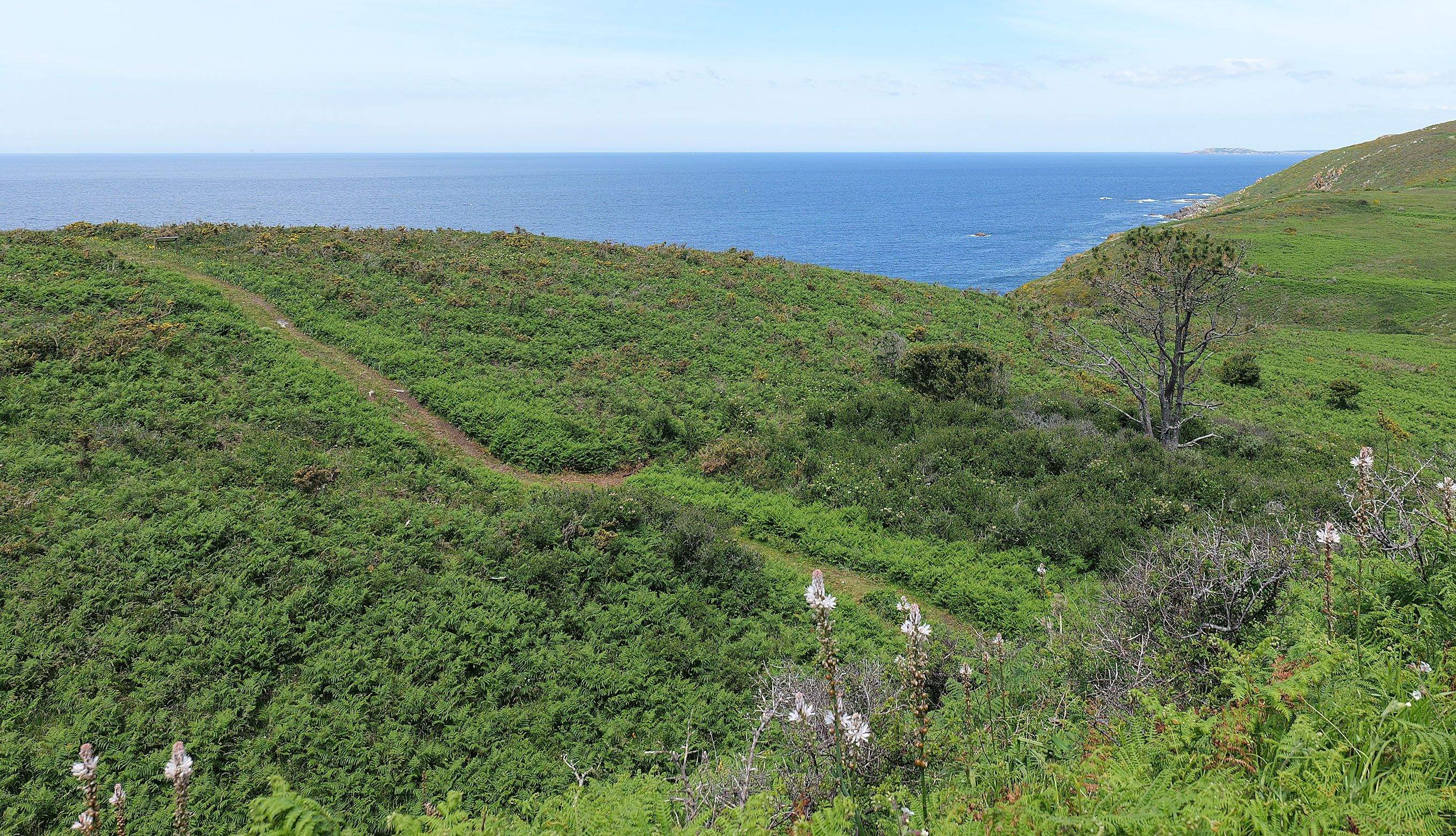 Isla de Ons Isla de Ons