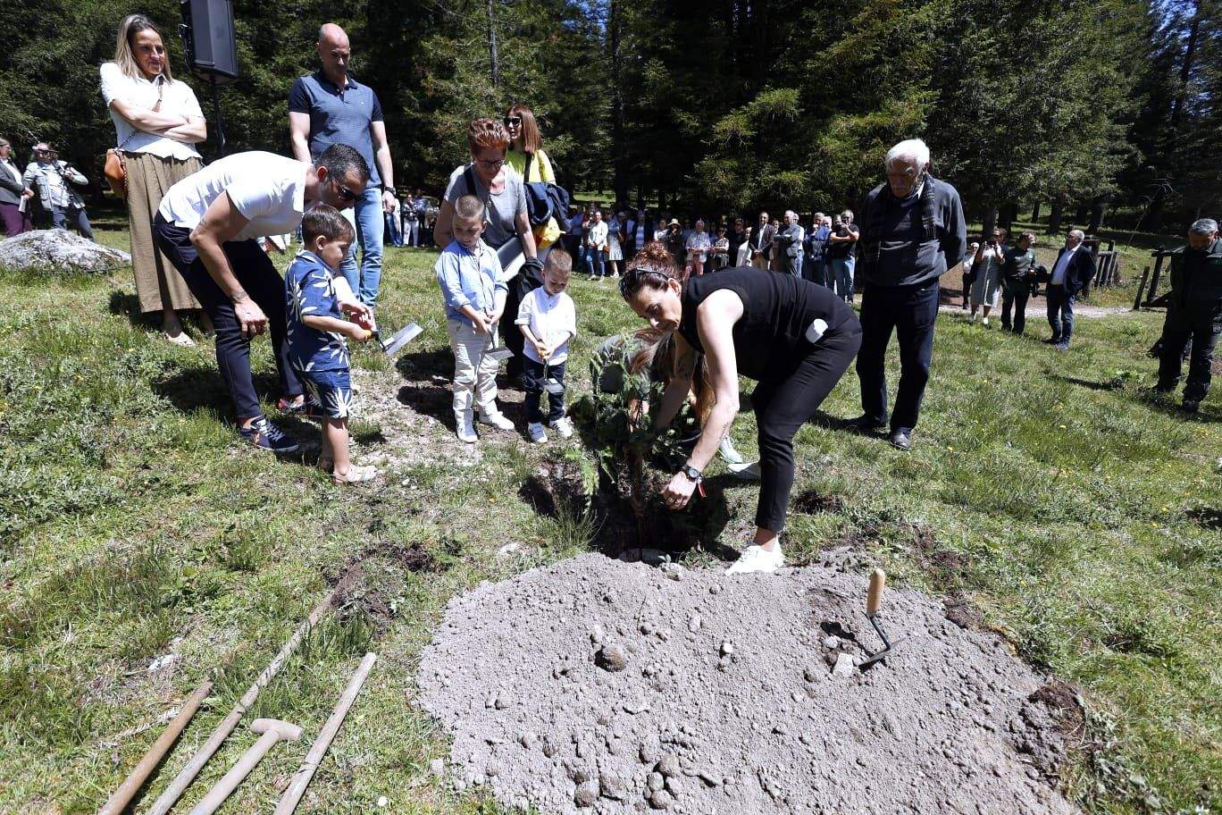 Familiares de Manuel Viéitez plantan una secuoya
