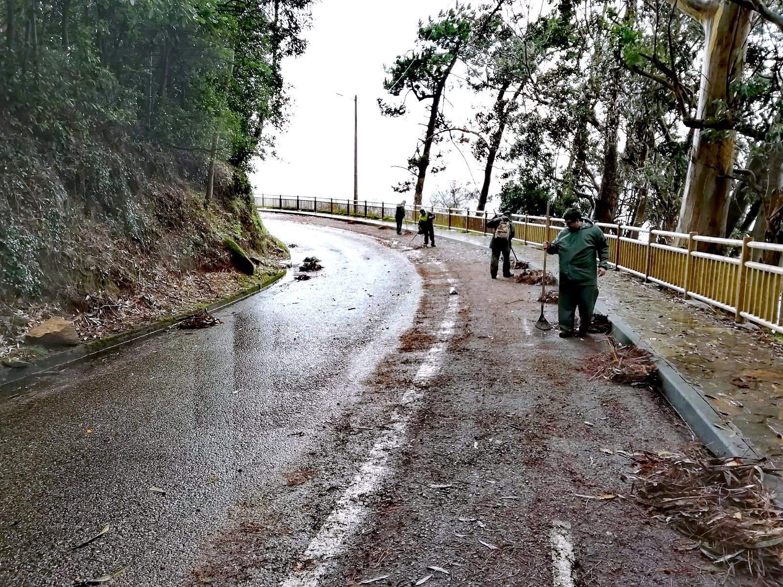 Limpieza de accesos a playas en Marín