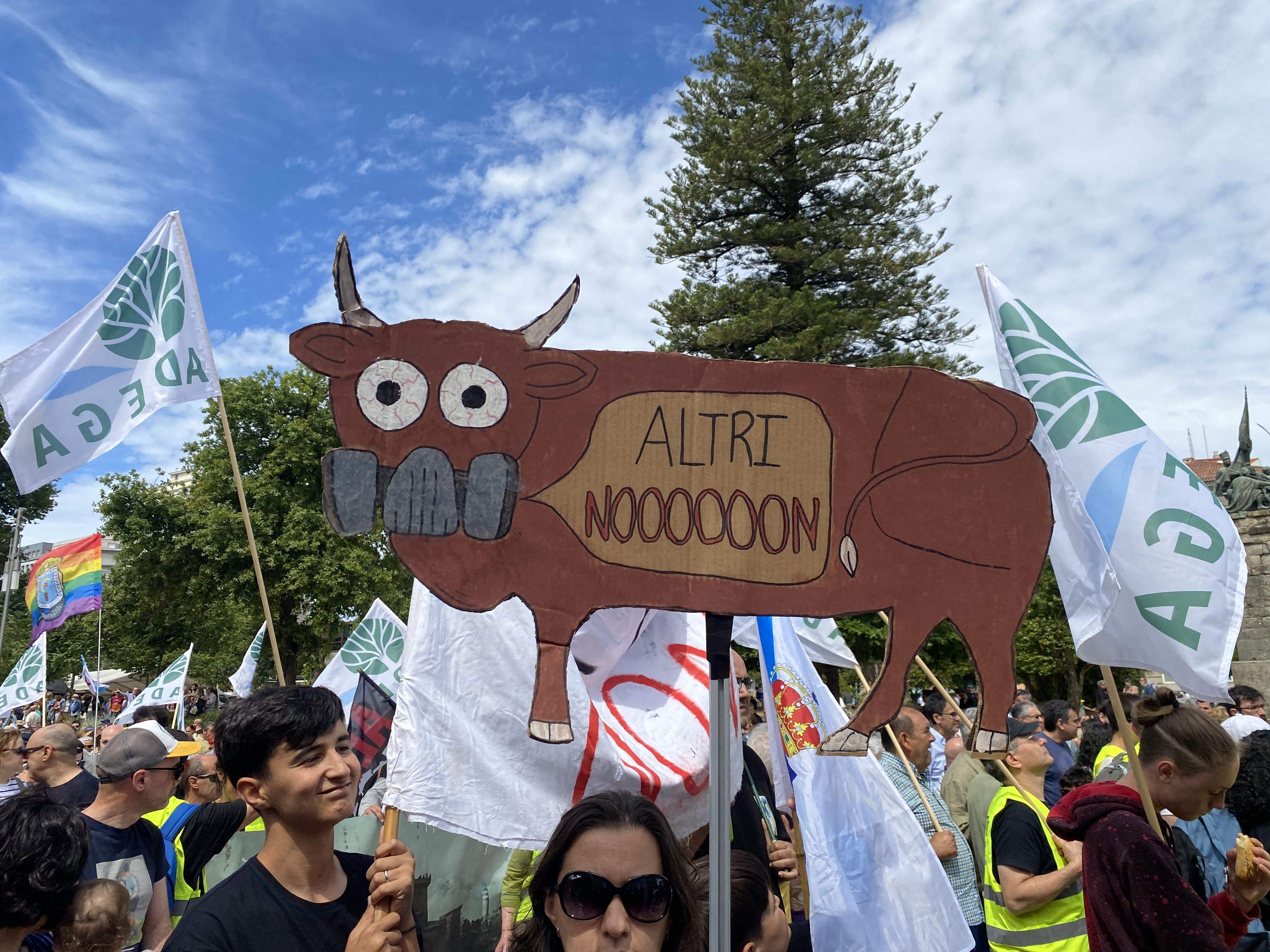 Marcha contra las celulosas de ENCE y ALTRI