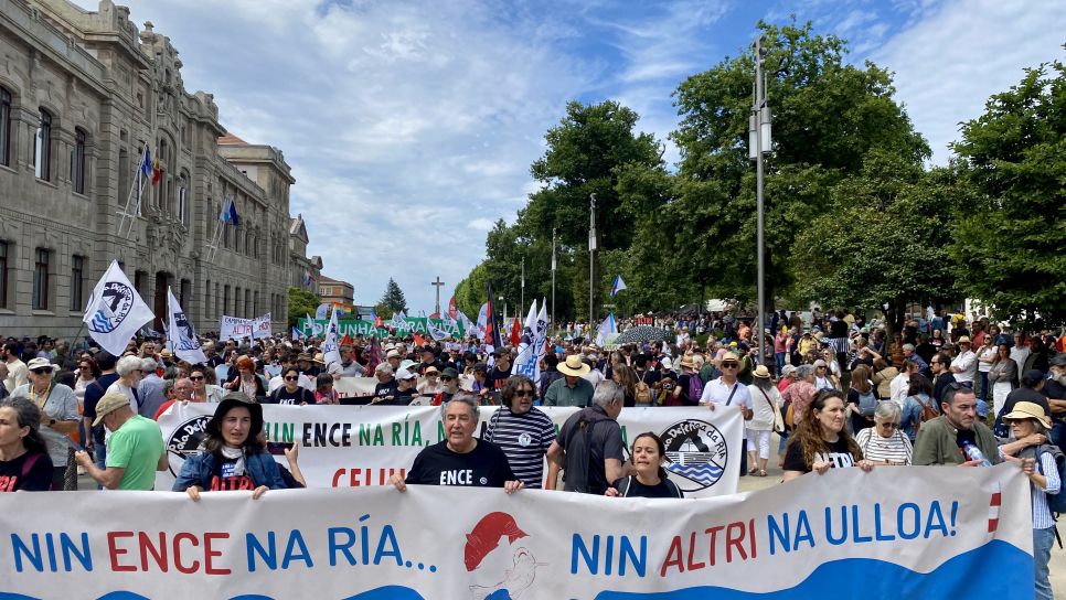 Marcha contra as celulosas de ENCE e ALTRI Marcha contra as celulosas de ENCE e ALTRI