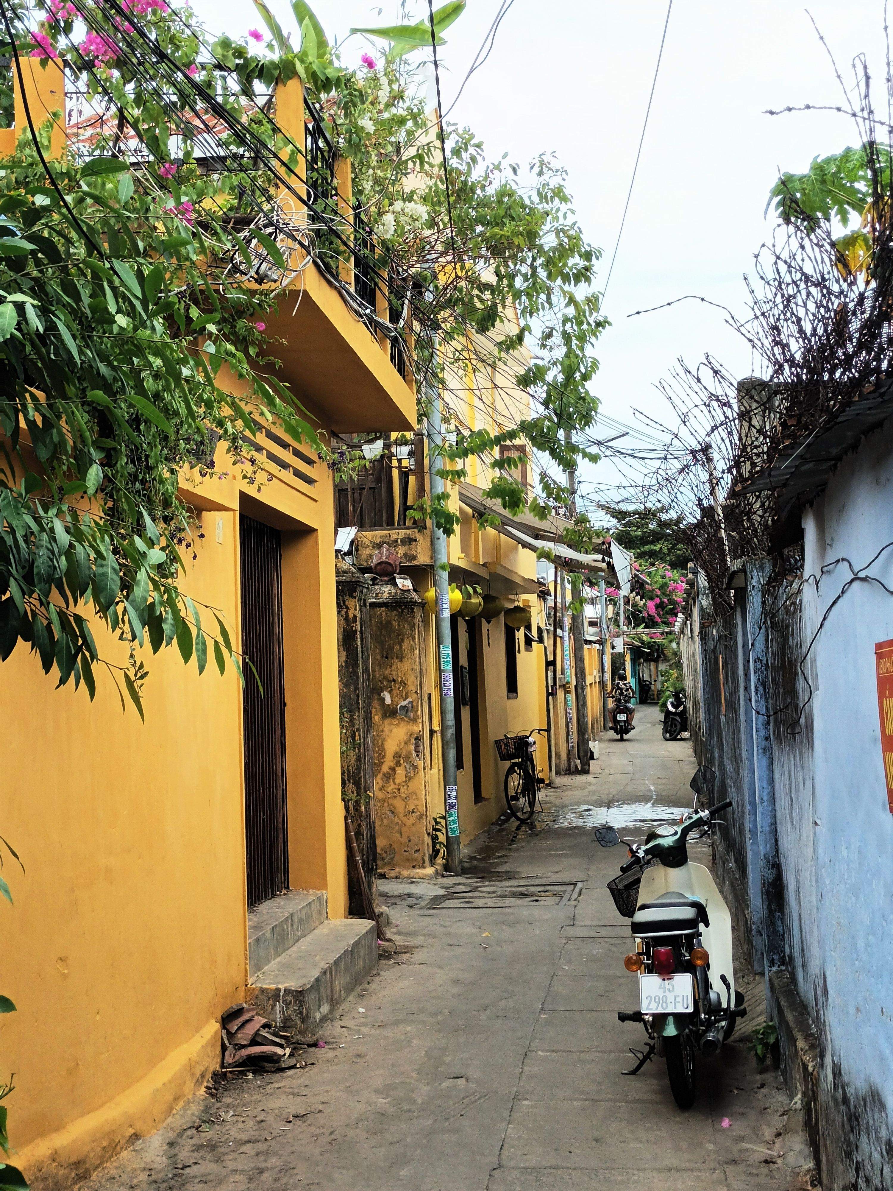 Calexo na cidade vella de Hoi An 