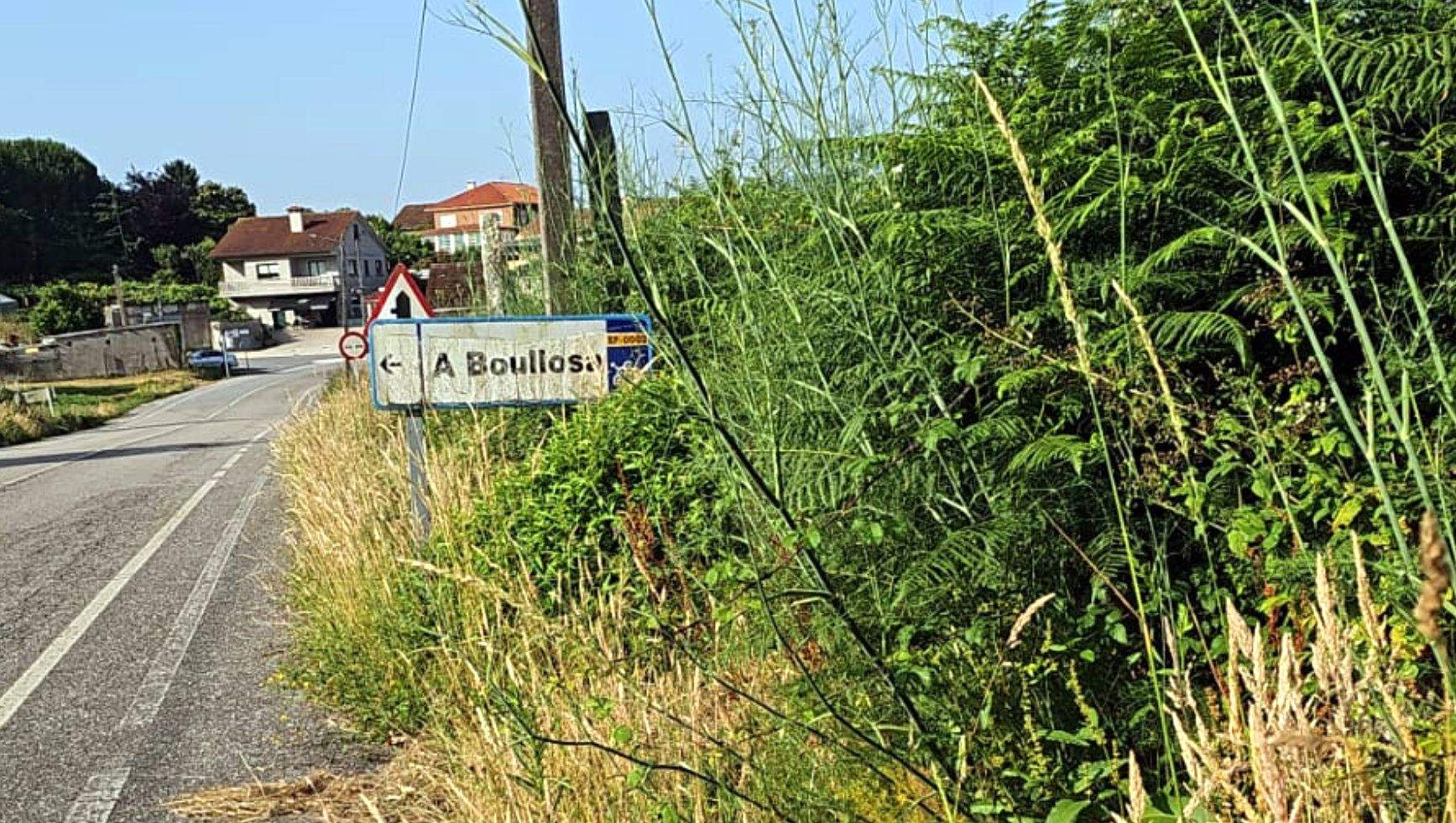 Maleza na contorna dunha estrada provincial en Vilavoa