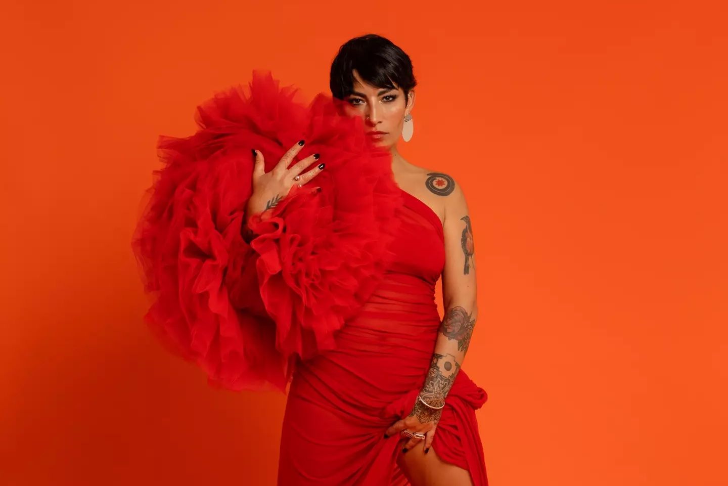 Ana Tijoux