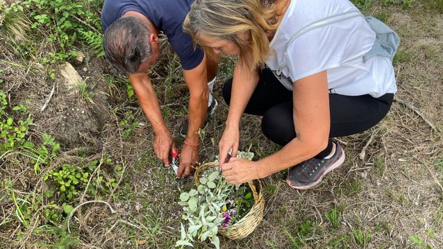 Recollida das herbas de San Xoán organizada pola Asociación de Veciños O Chedeiro Recollida das herbas de San Xoán organizada pola Asociación de Veciños O Chedeiro