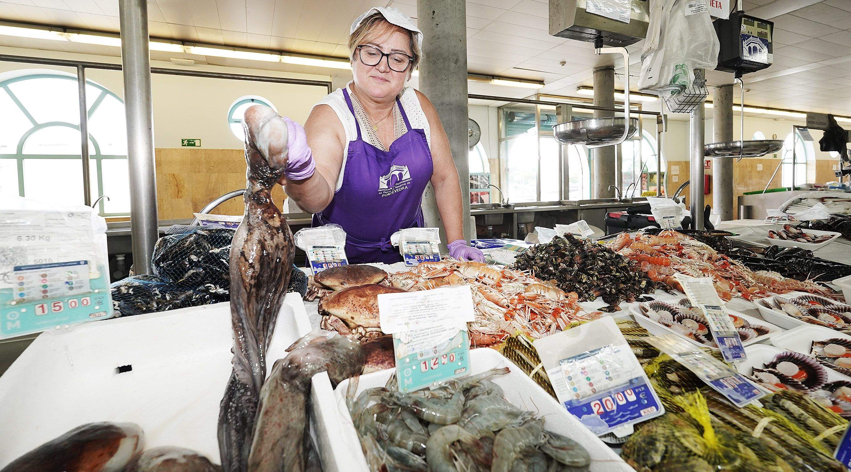 O polbo galego volve ao Mercado de Abastos de Pontevedra O polbo galego volve ao Mercado de Abastos de Pontevedra