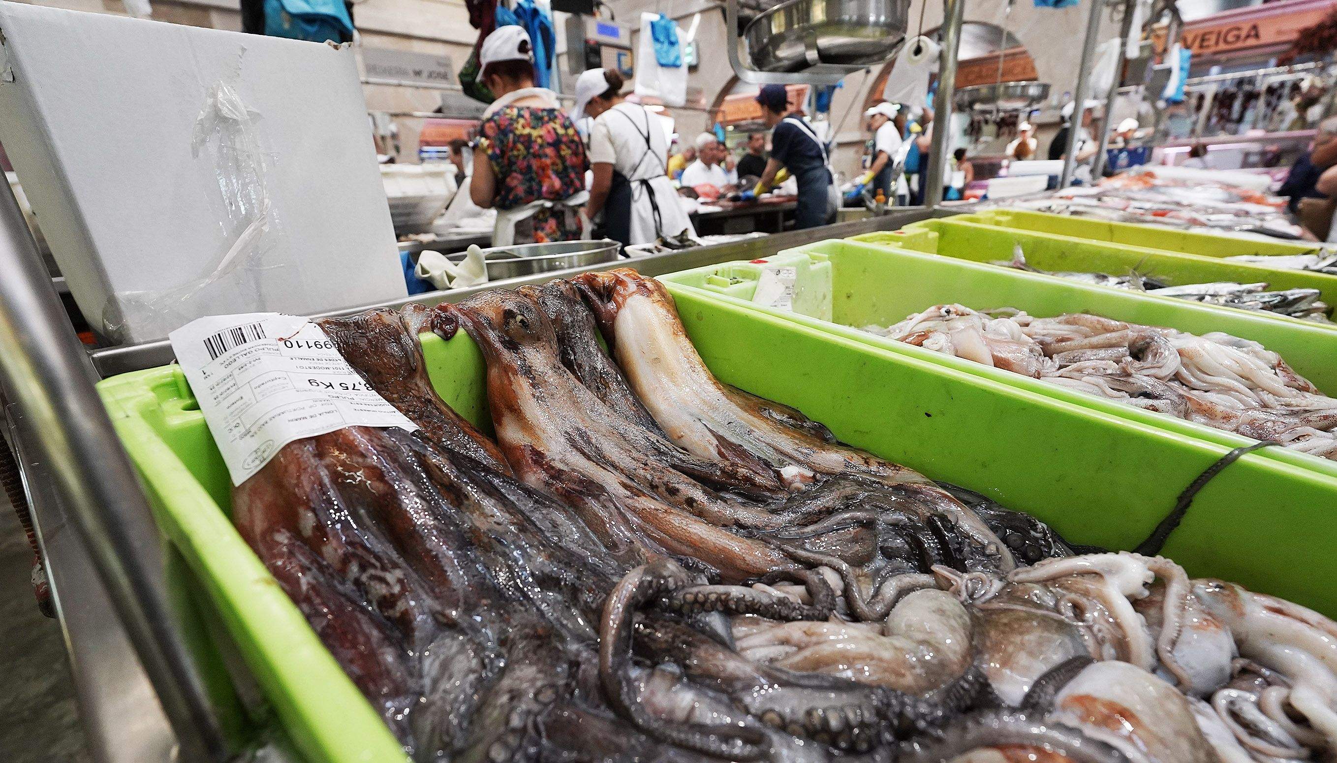 O polbo galego volve ao Mercado de Abastos de Pontevedra O polbo galego volve ao Mercado de Abastos de Pontevedra