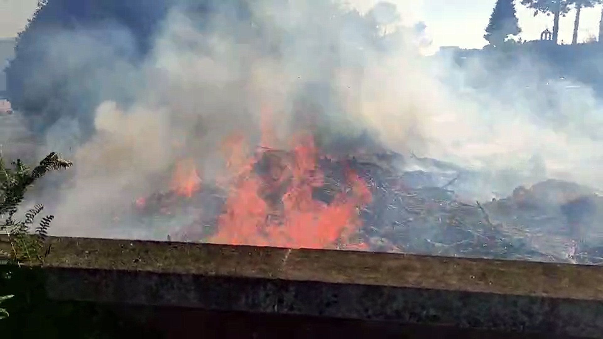 Llamas en el incendio tras el cementerio de San Mauro