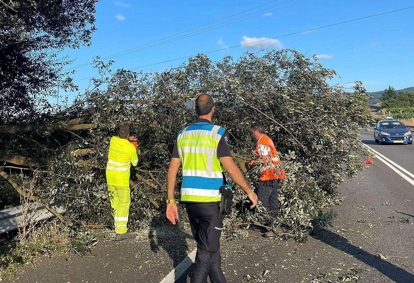 Efectivos de Protección Civil de Ribadumia retiran el árbol