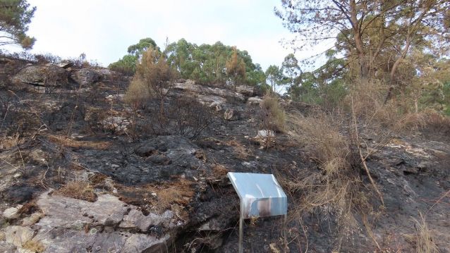 Monte Pornedo queimado