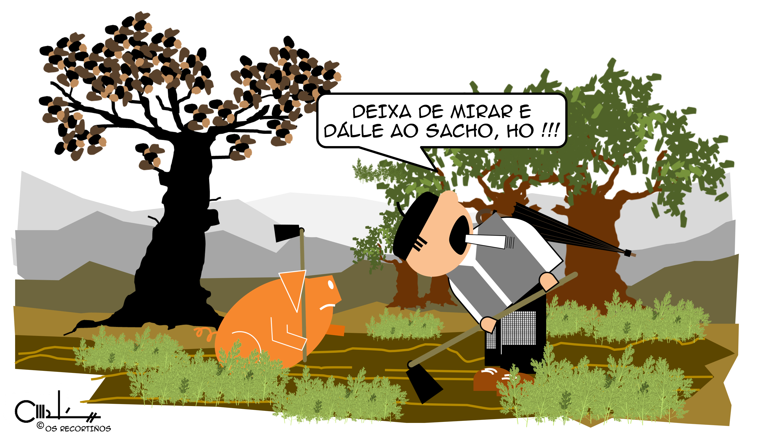 Os Recortiños DEIXAR DE MIRAR