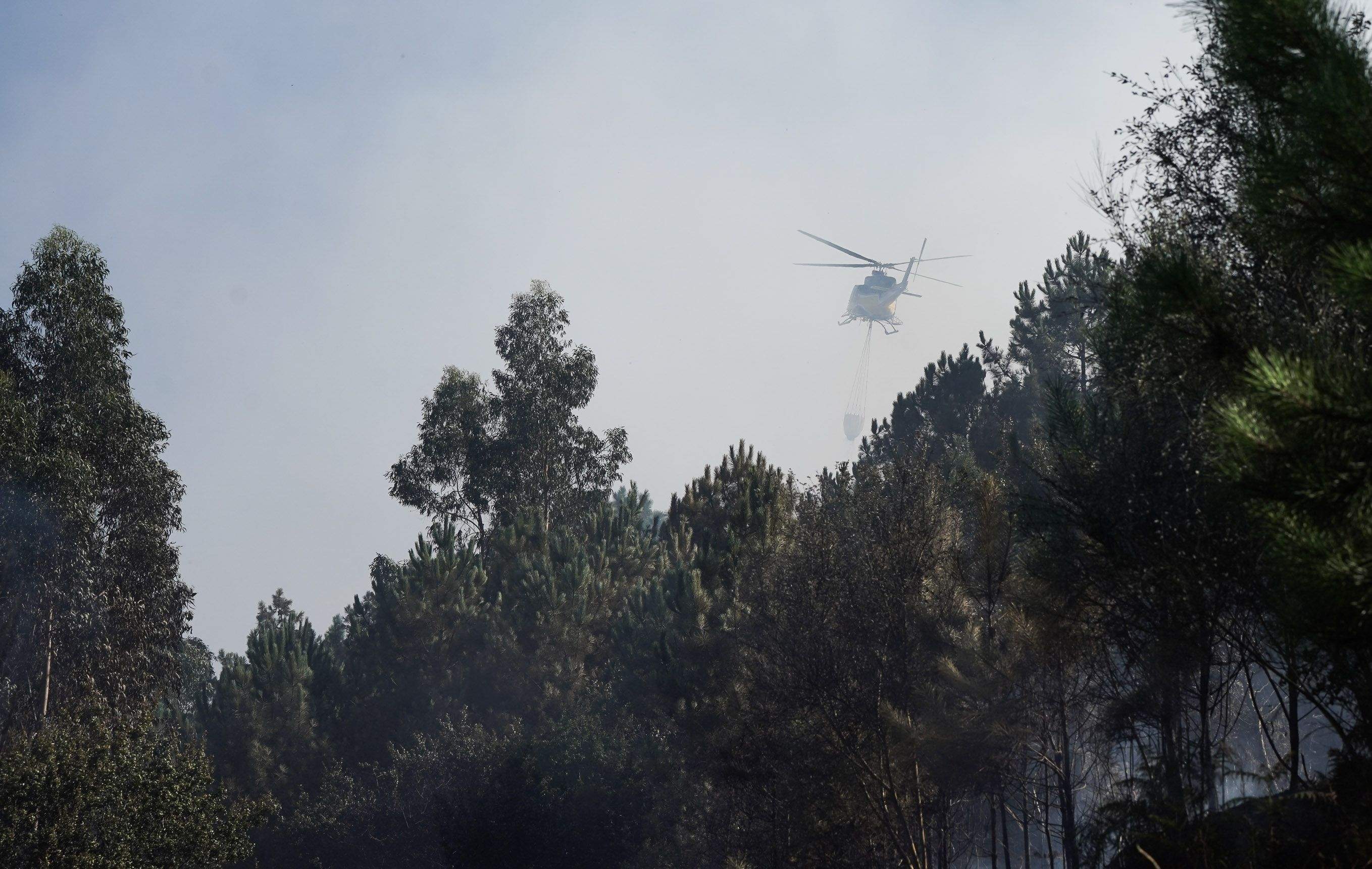 Incendio forestal en el monte de A Moreira, en Marín Incendio forestal en el monte de A Moreira, en Marín
