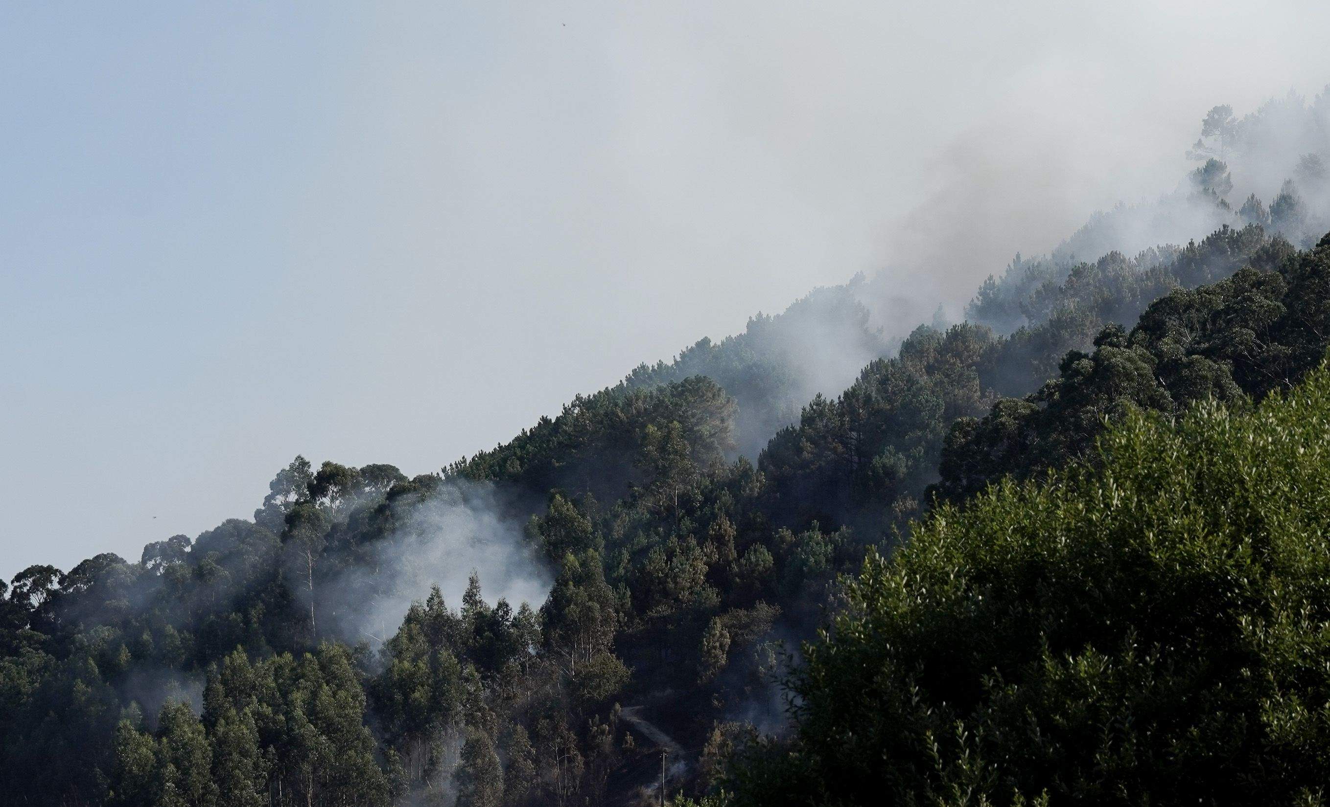 Incendio forestal en el monte de A Moreira, en Marín Incendio forestal en el monte de A Moreira, en Marín