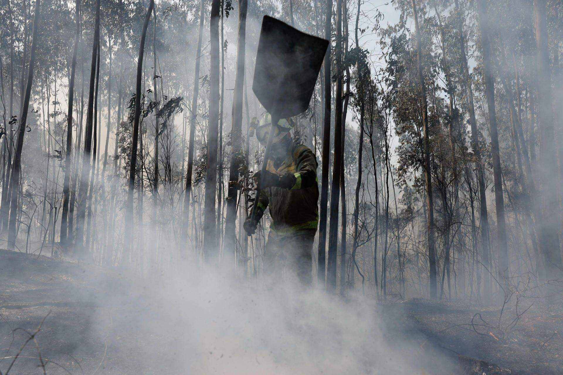 Incendios forestal en montes de Tenorio Incendios forestal en montes de Tenorio