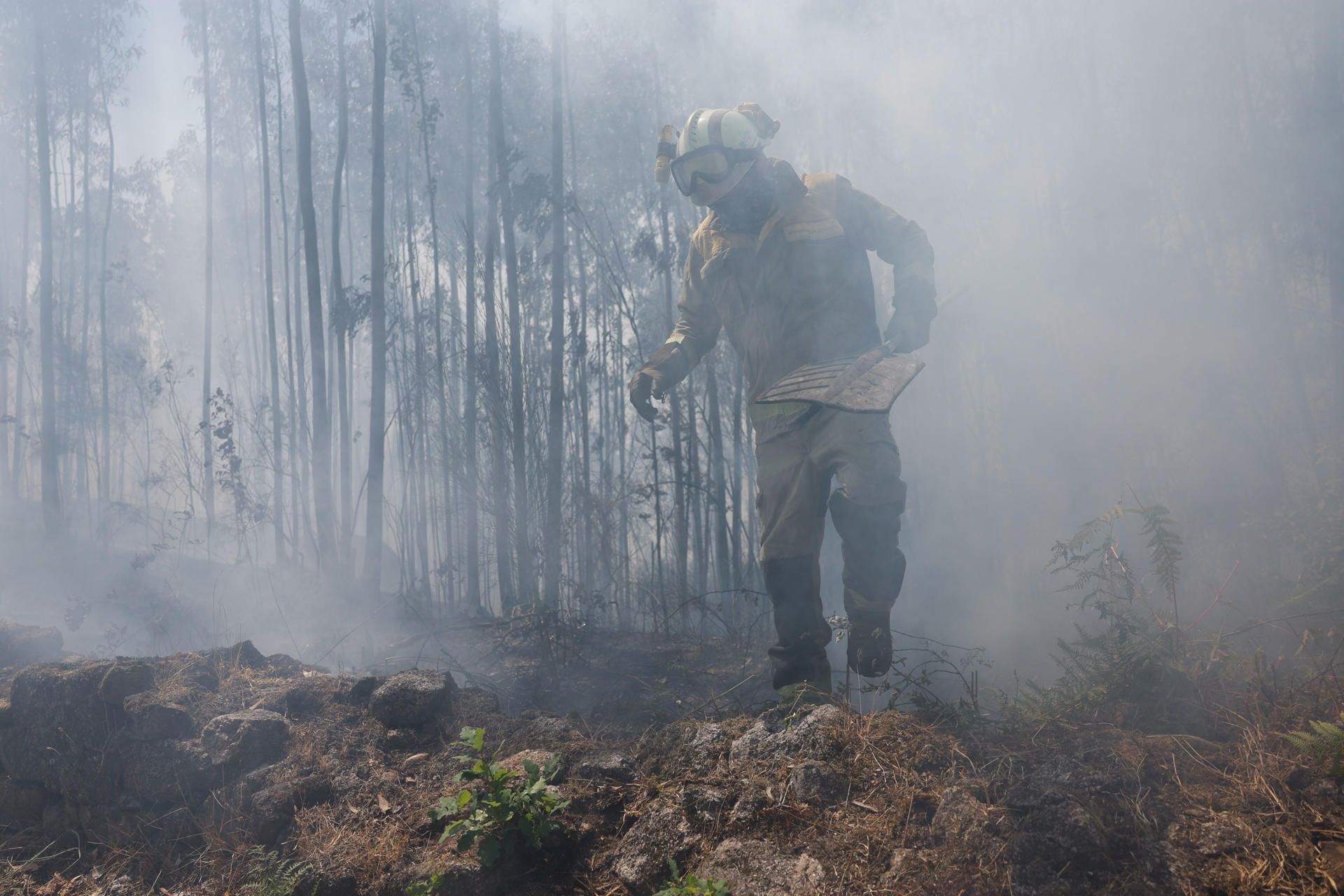 Incendios forestal en montes de Tenorio Incendios forestal en montes de Tenorio