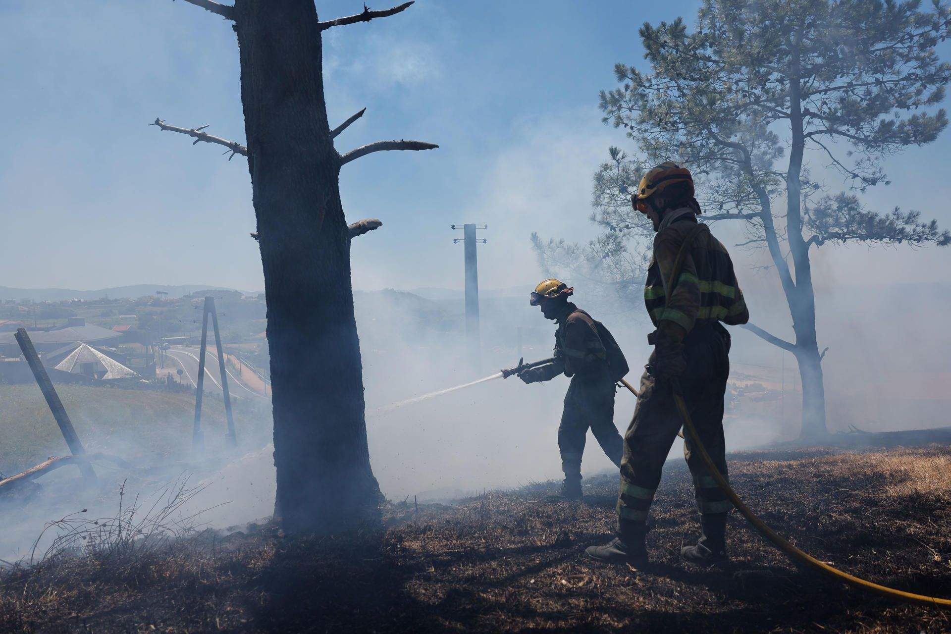 Incendio forestal en Major Incendio forestal en Major