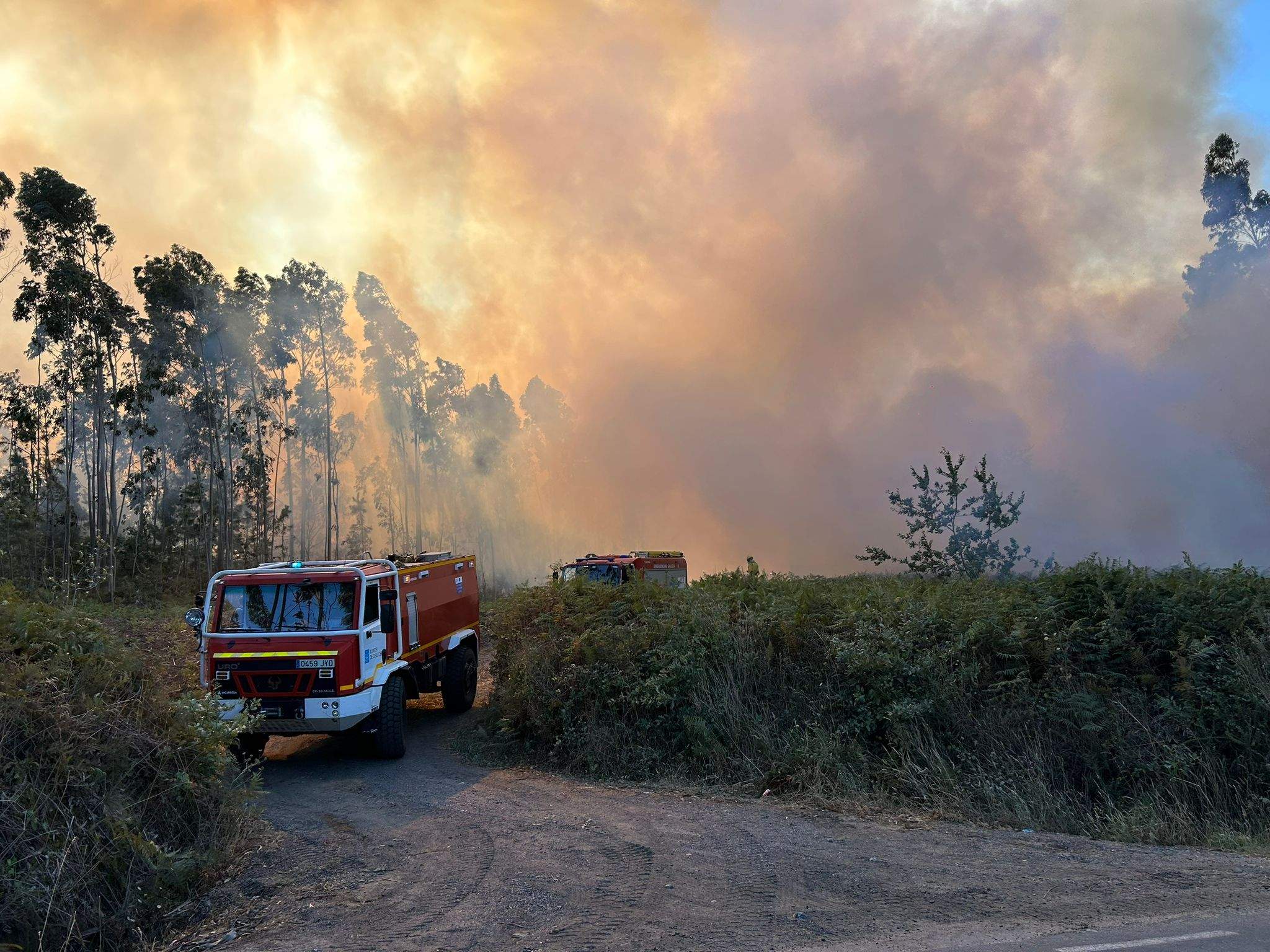 Incendio forestal en Pontes, Noalla