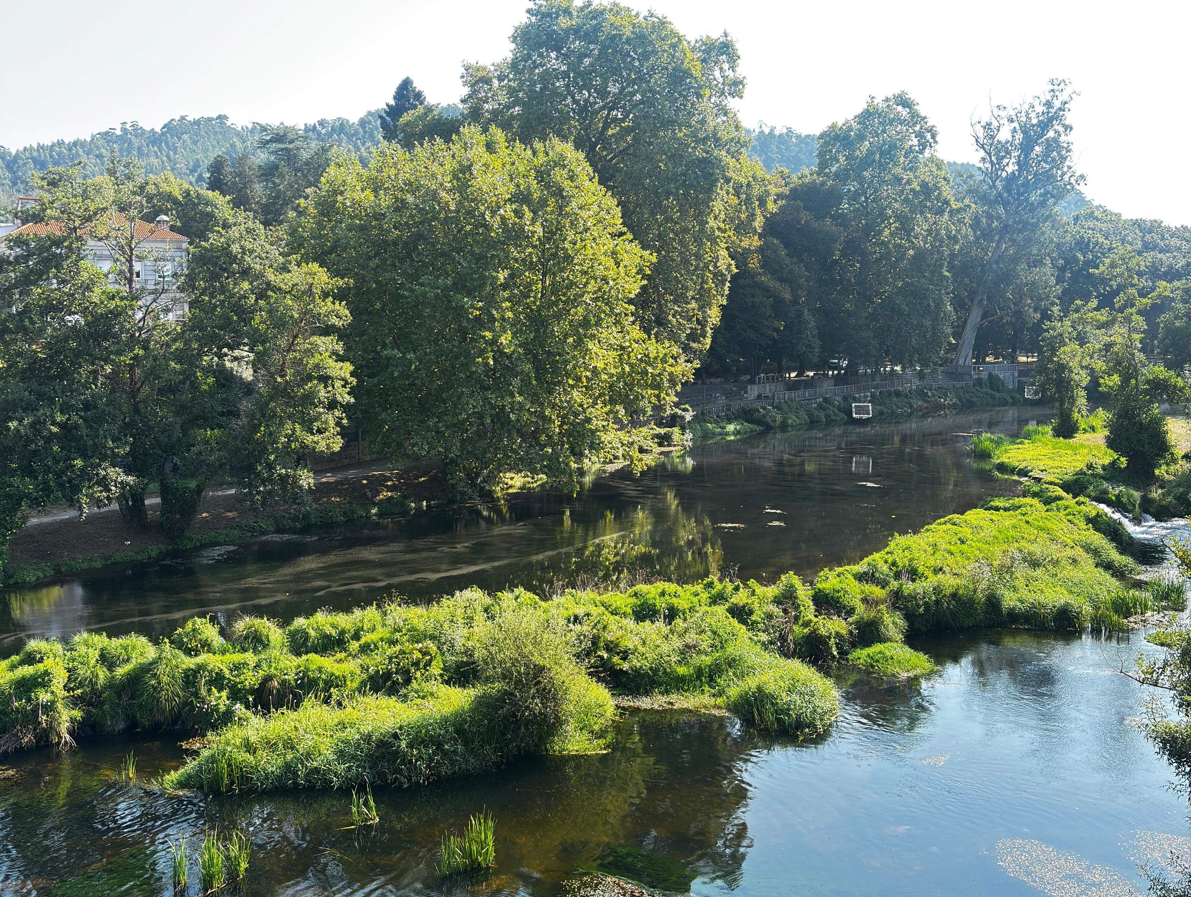 Río Umia