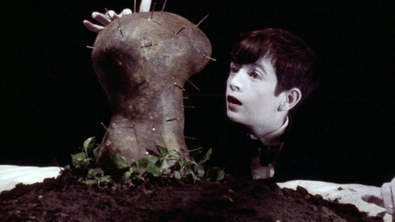 The Grandmother, de David Lynch