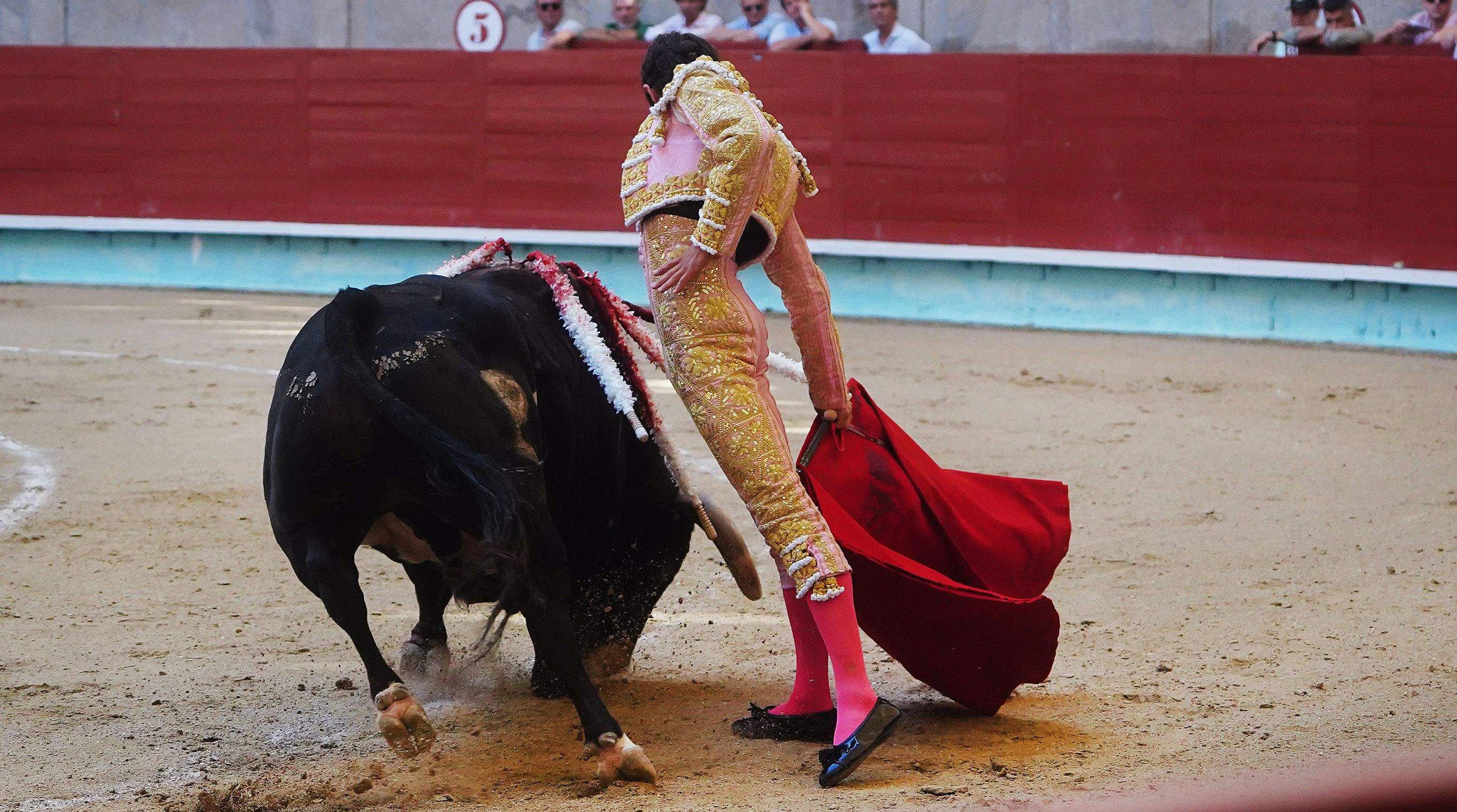 Primera corrida de la Feria taurina de la Peregrina 2025 Primera corrida de la Feria taurina de la Peregrina 2025