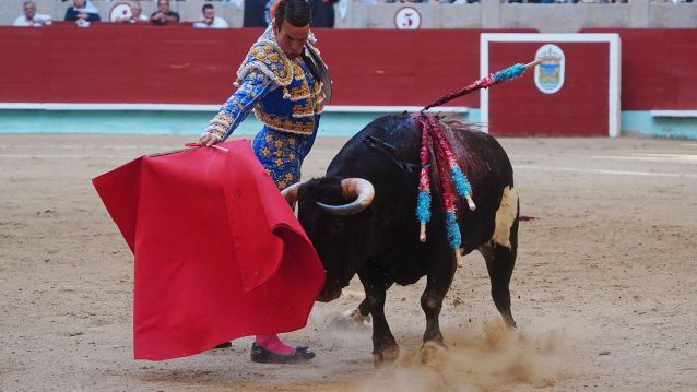 Primeira corrida da Feira taurina da Peregrina 2025 Primeira corrida da Feira taurina da Peregrina 2025