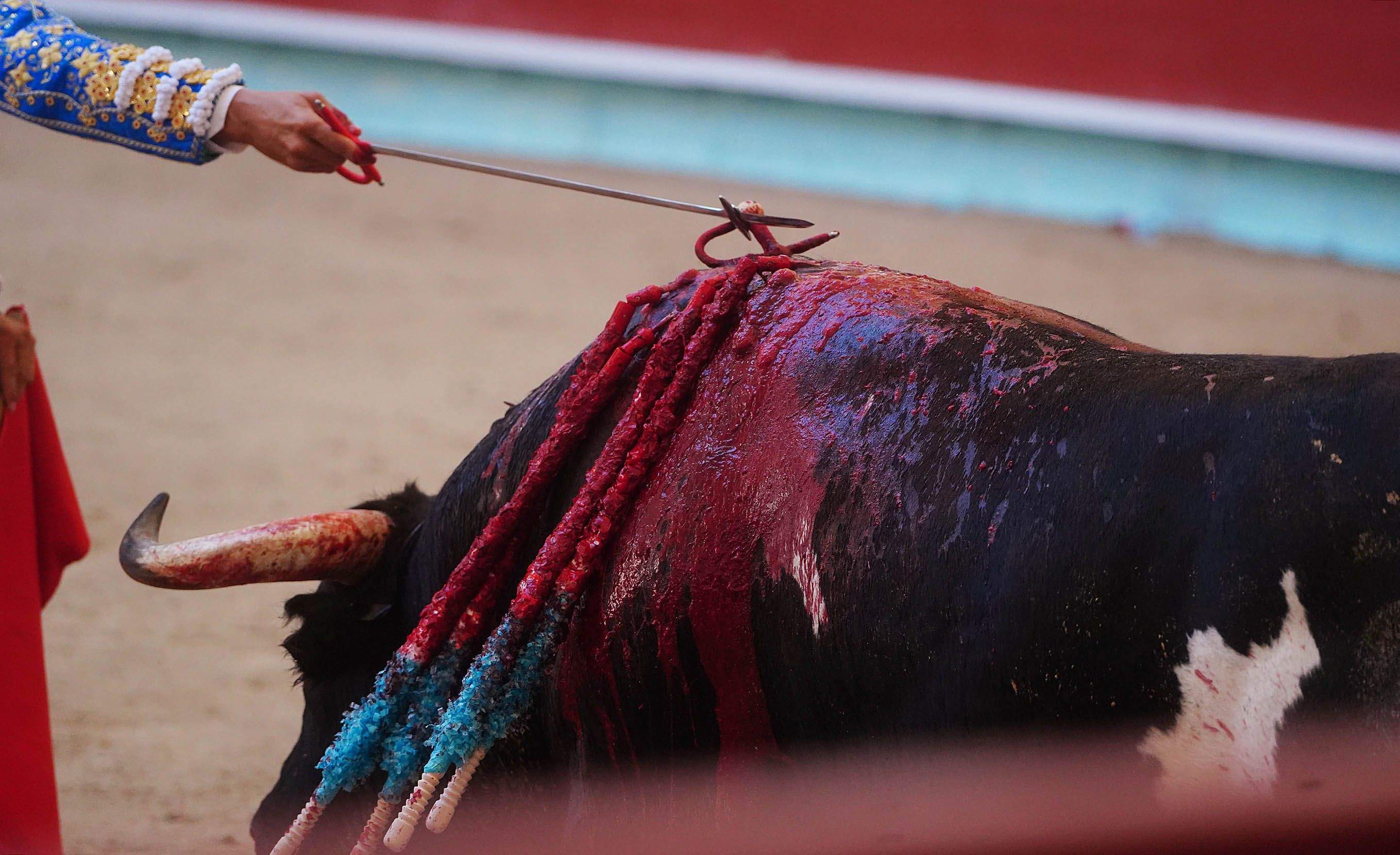 Primera corrida de la Feria taurina de la Peregrina 2025 Primera corrida de la Feria taurina de la Peregrina 2025