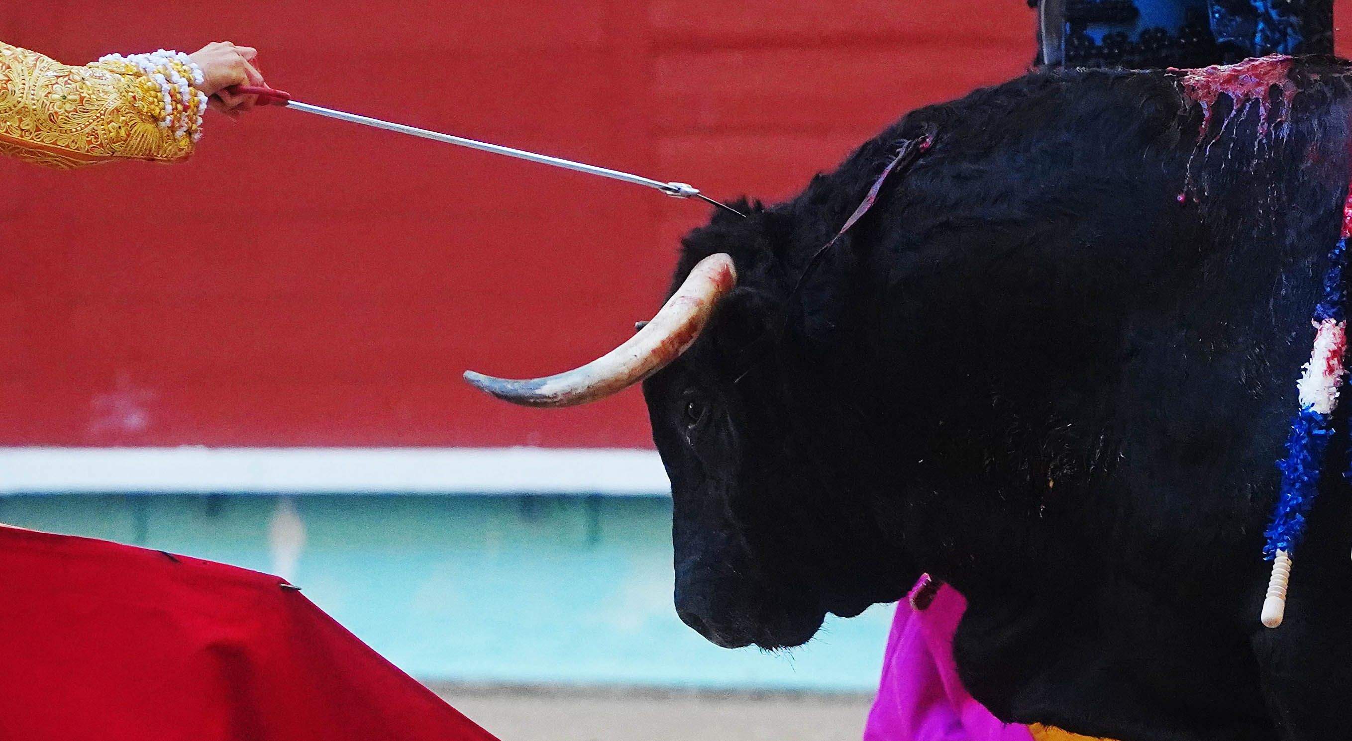 Primera corrida de la Feria taurina de la Peregrina 2025 Primera corrida de la Feria taurina de la Peregrina 2025