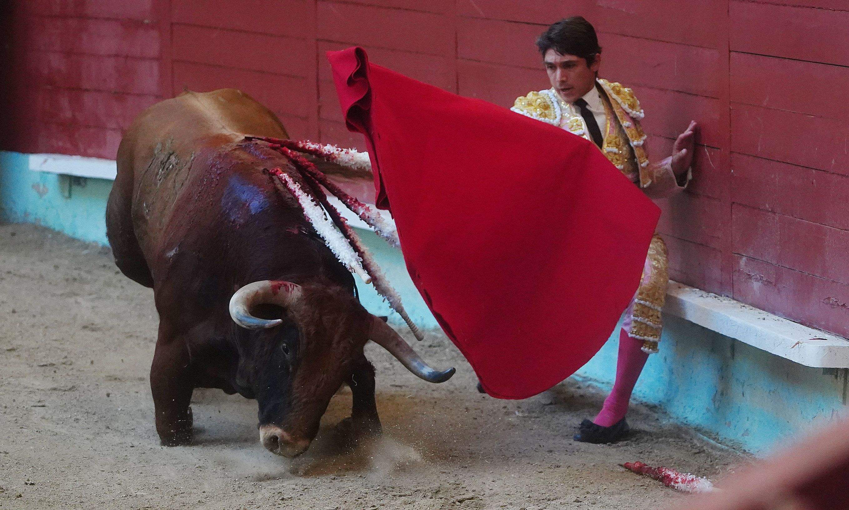 Primera corrida de la Feria taurina de la Peregrina 2025 Primera corrida de la Feria taurina de la Peregrina 2025