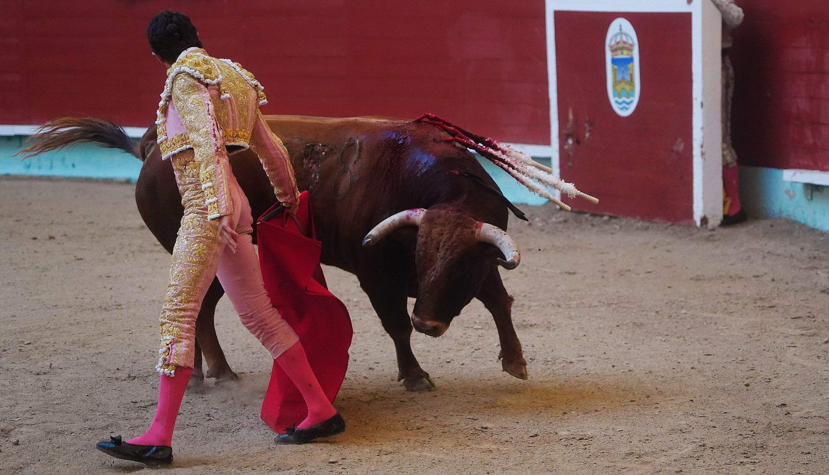 Primera corrida de la Feria taurina de la Peregrina 2025 Primera corrida de la Feria taurina de la Peregrina 2025