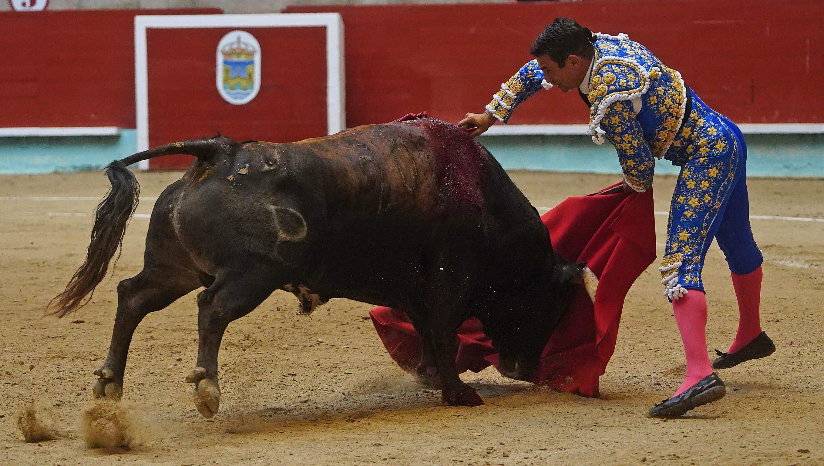 Primera corrida de la Feria taurina de la Peregrina 2025 Primera corrida de la Feria taurina de la Peregrina 2025