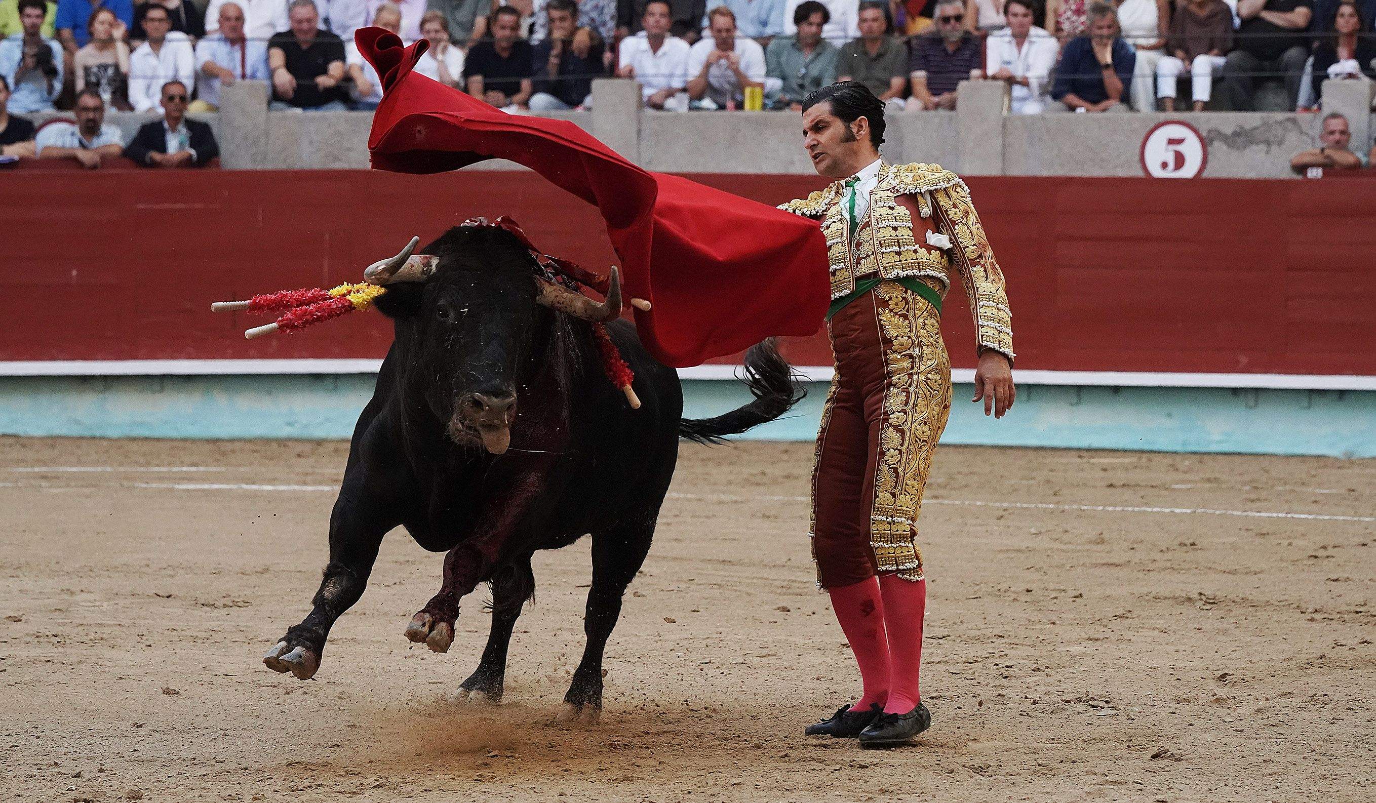 Cogida grave de Morante y salida a hombros de Luque en el domingo de Feria de la Peregrina Cogida grave de Morante y salida a hombros de Luque en el domingo de Feria de la Peregrina